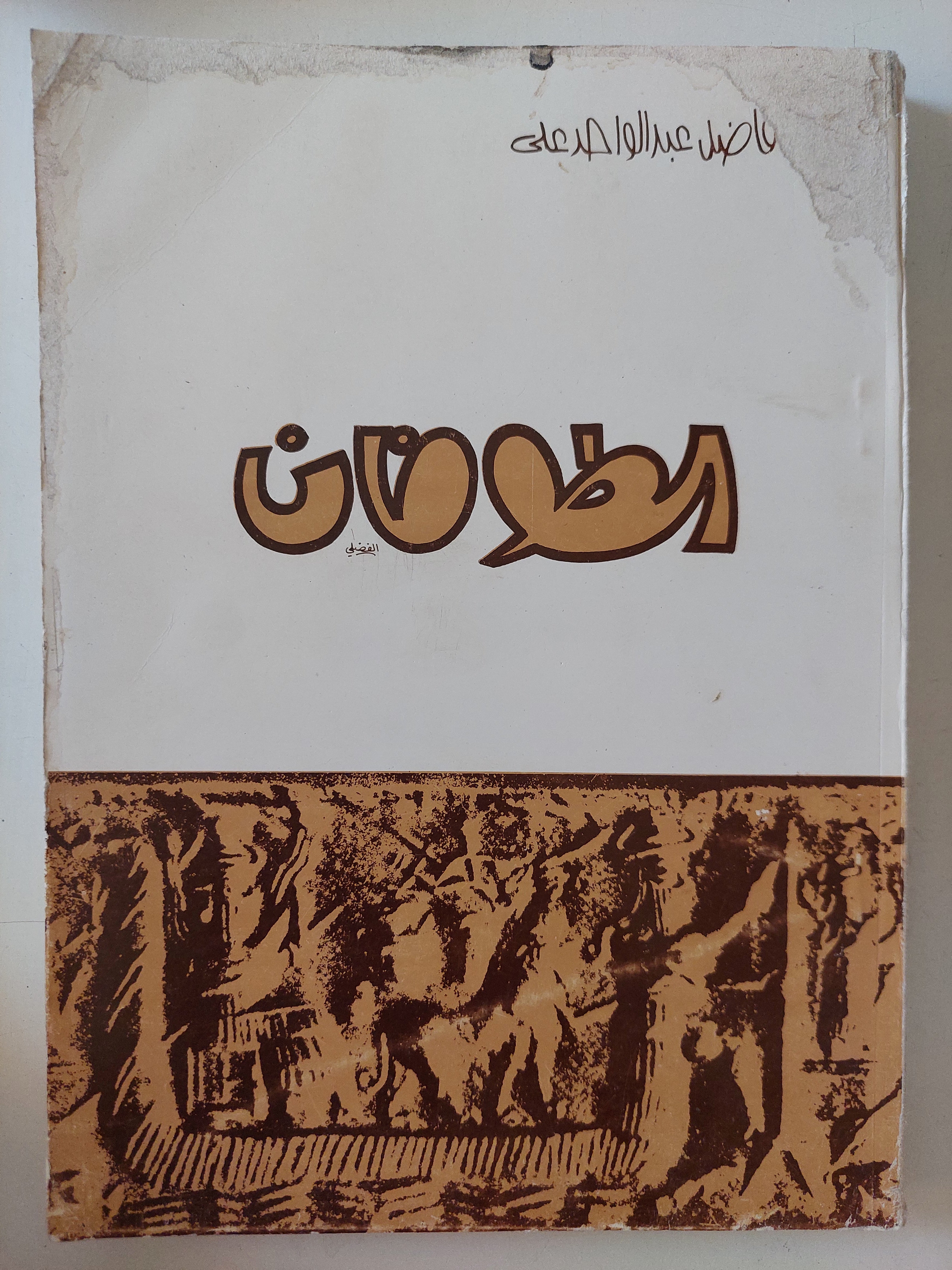 الطوفان / فاضل عبد الواحد