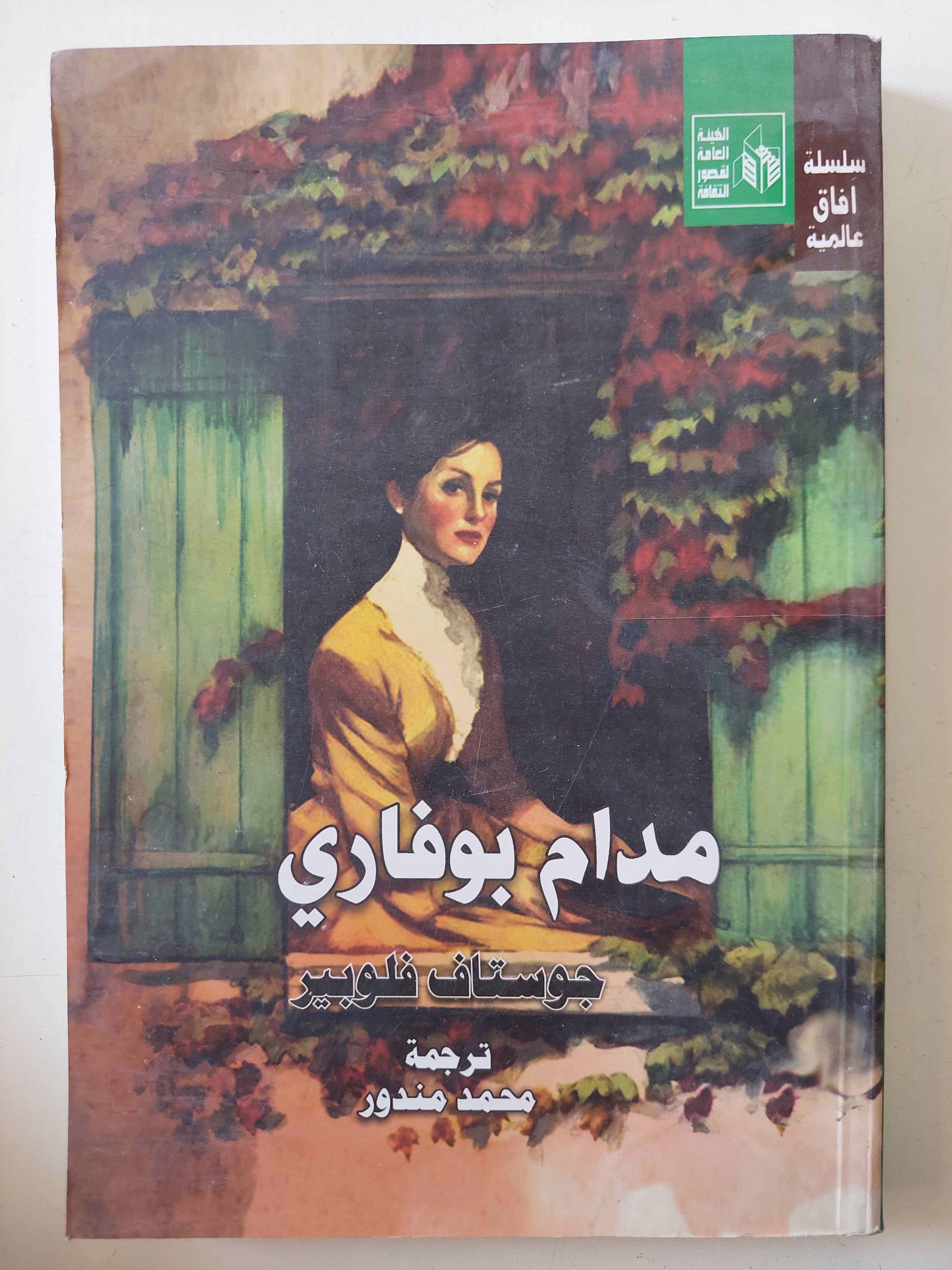 مدام بوفارى / جوستاف فلوبير