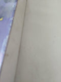 سياسات الاداء المسرحى / باز كير شو