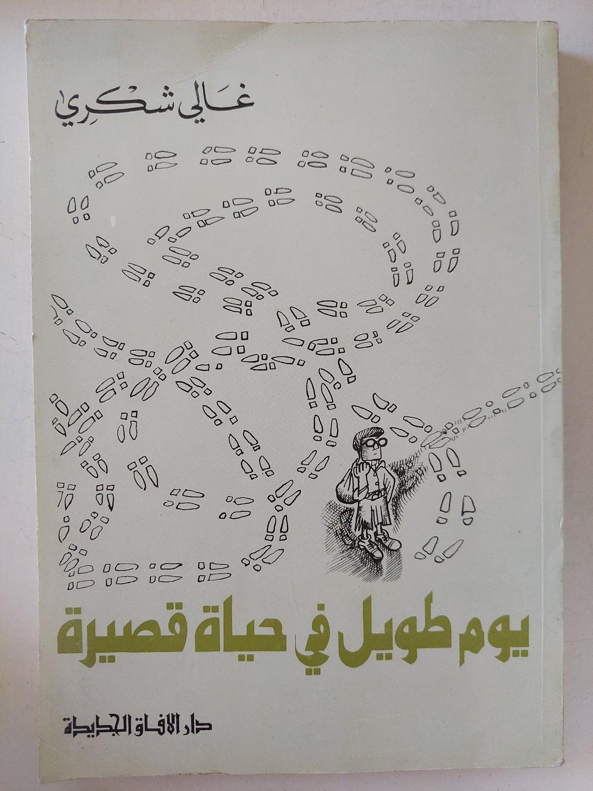 يوم طويل فى حياة قصيرة / غالى شكرى