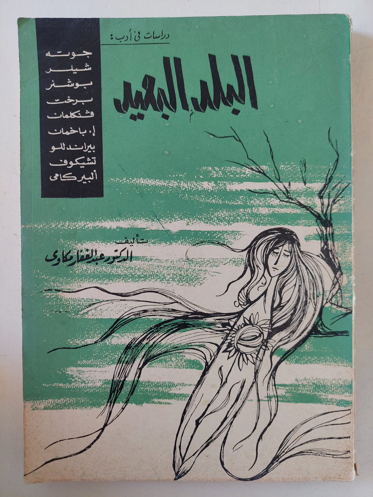 البلد البعيد / عبد الغفار مكاوى