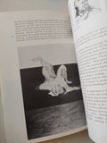 The world art library .. John Russell - Francis Bacon - ملحق بالصور