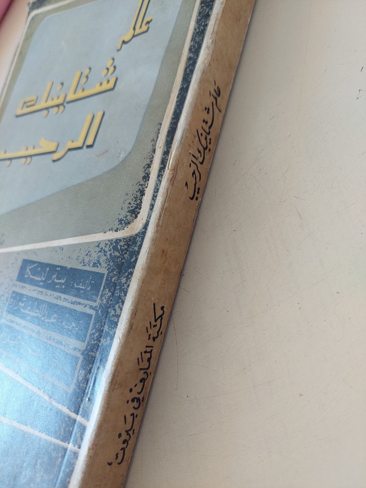 عالم شتاينيك الرحيب / بيتر ليسكا - متجر كتب مصر - المكتبة الفلسفية