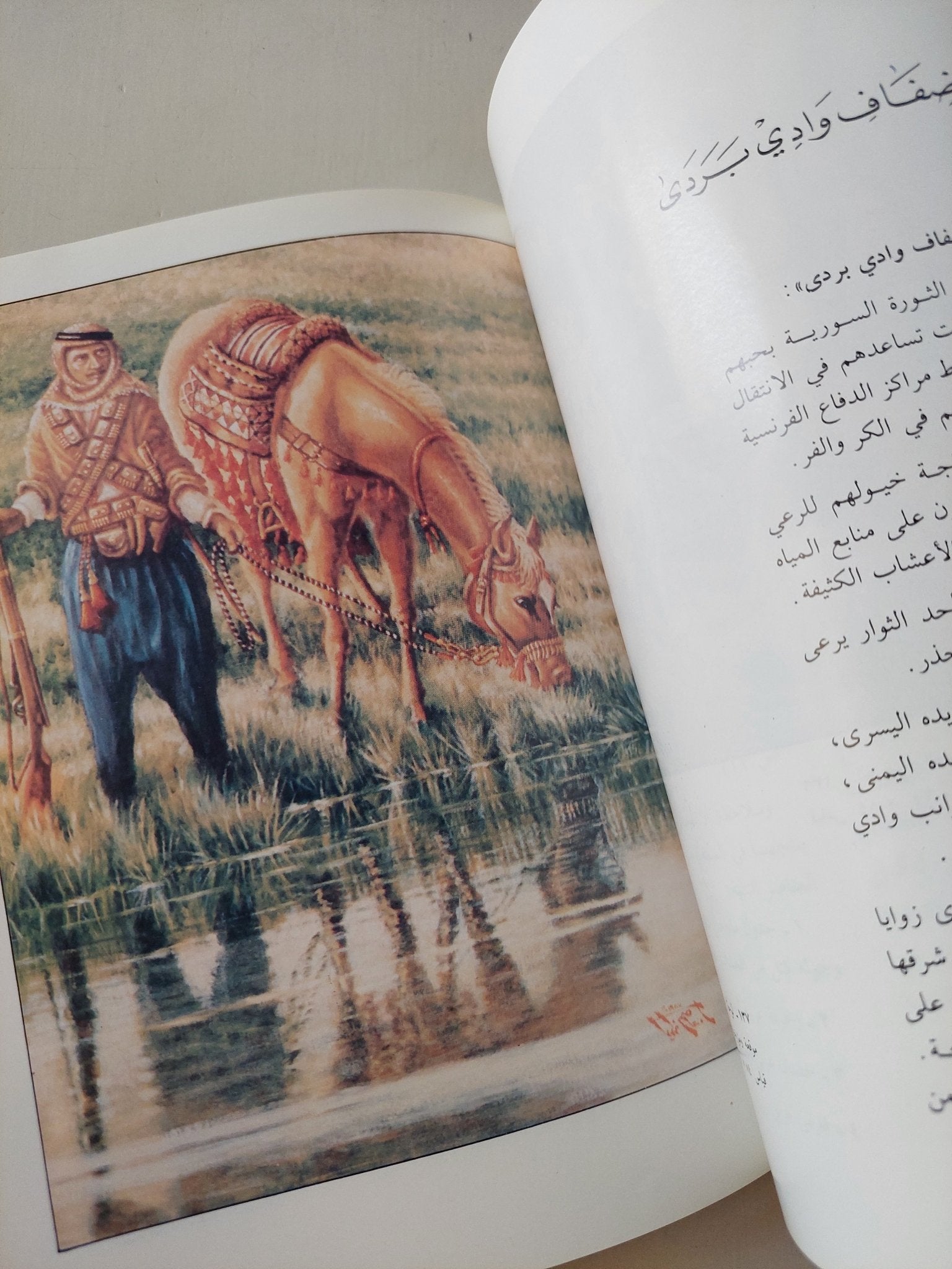 عاصم زكريا / أحمد يوسف الدقاق - ملحق بالصور - متجر كتب مصرمتجر كتب مصر