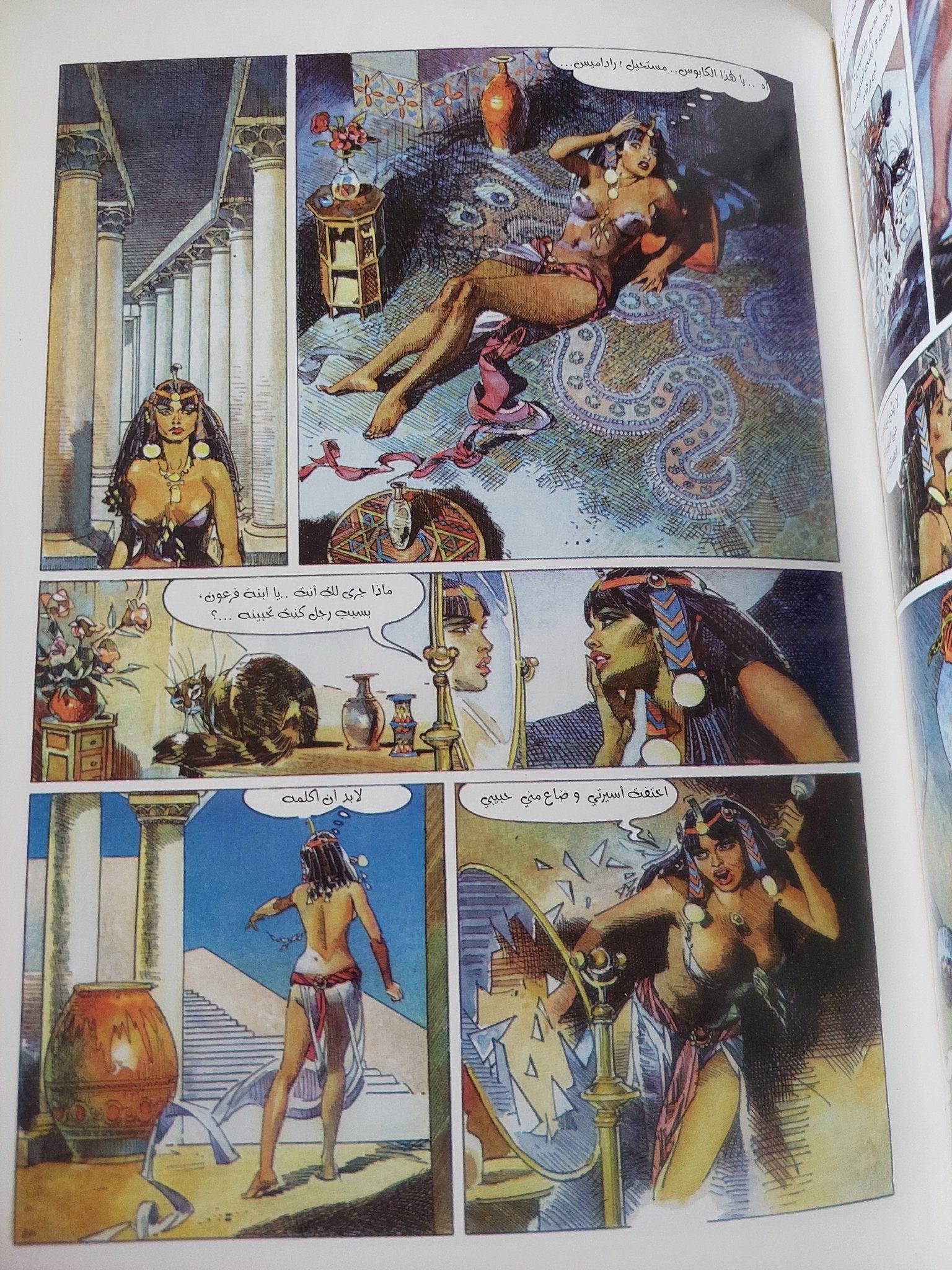 عايدة - قطع كبير هارد كفر - متجر كتب مصر - متجر كتب مصر