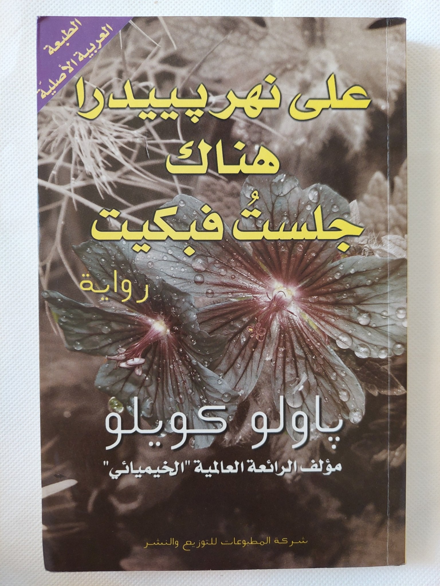 على نهر بييدرا هناك جلست فبكيت / باولو كويلو - متجر كتب مصر - المكتبة الفلسفية