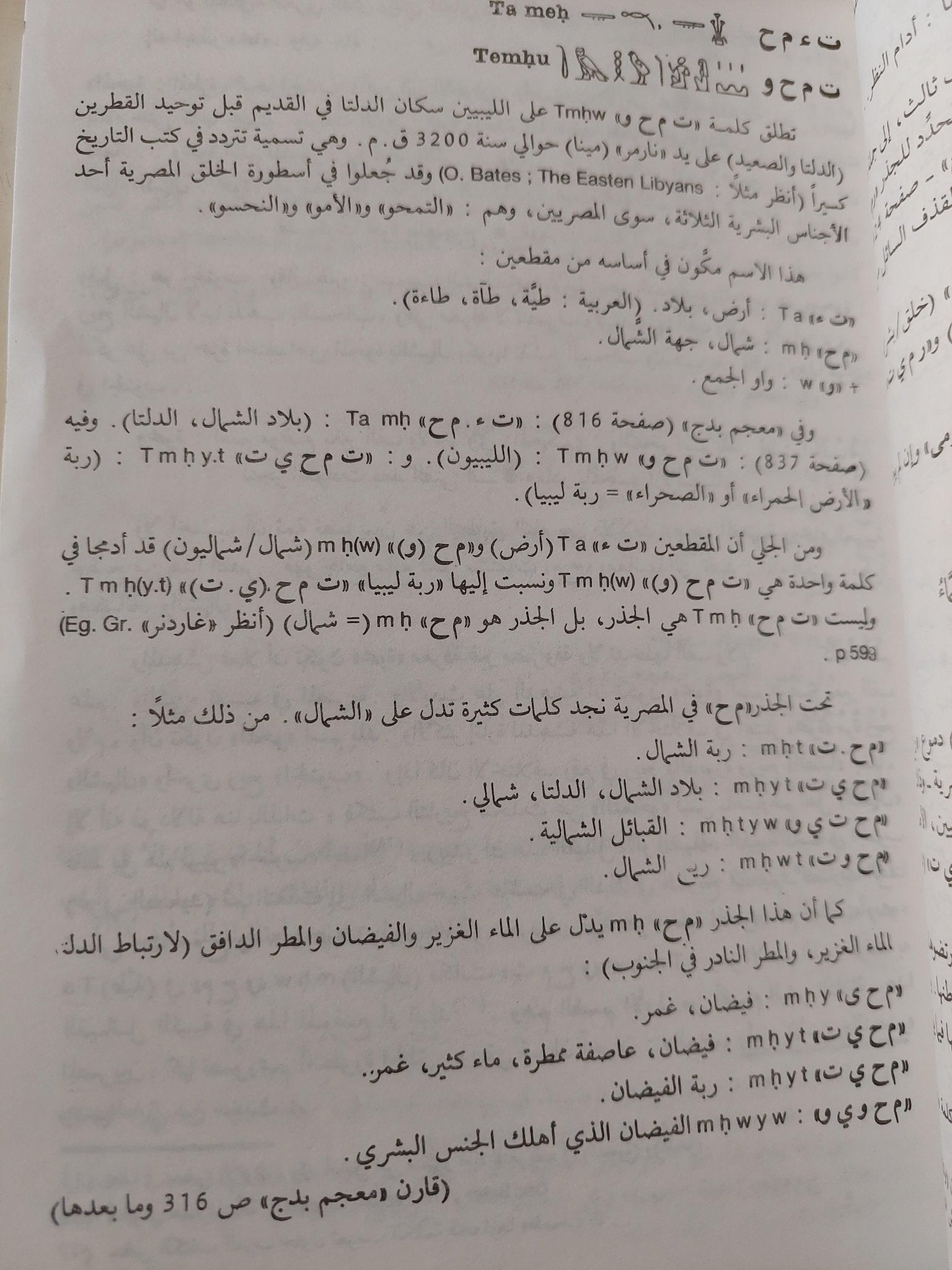 آلهة مصر العربية / جزئين - متجر كتب مصر - متجر كتب مصر