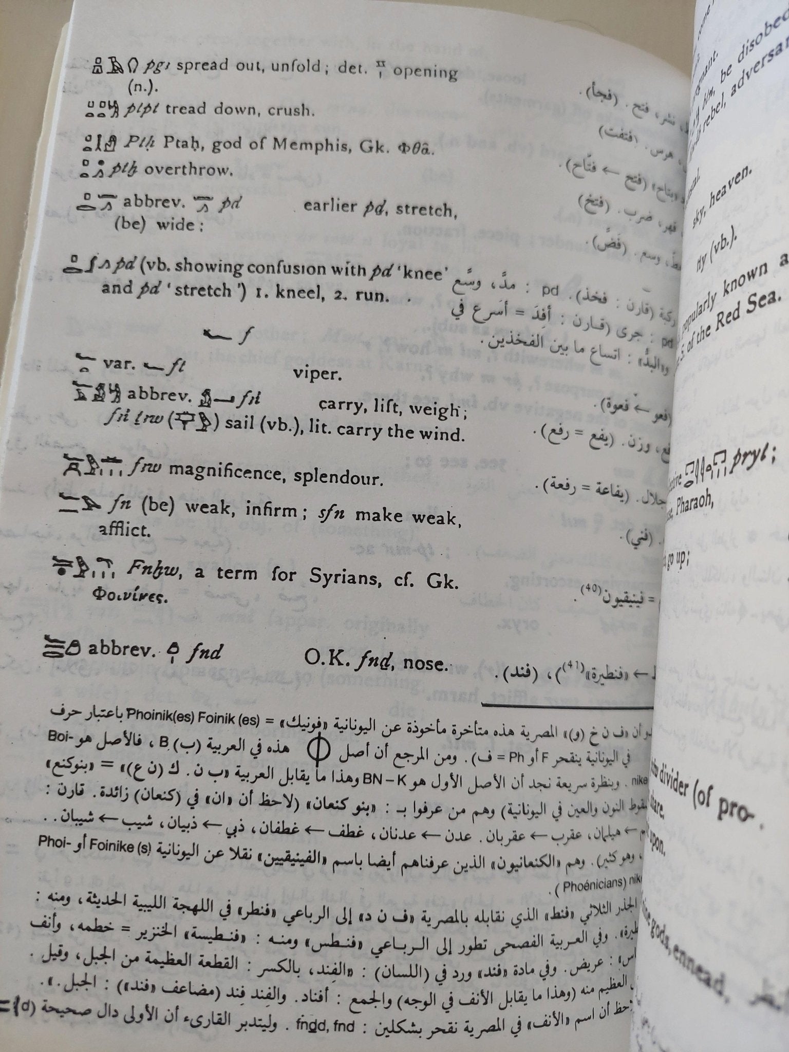 آلهة مصر العربية / جزئين - متجر كتب مصر - متجر كتب مصر