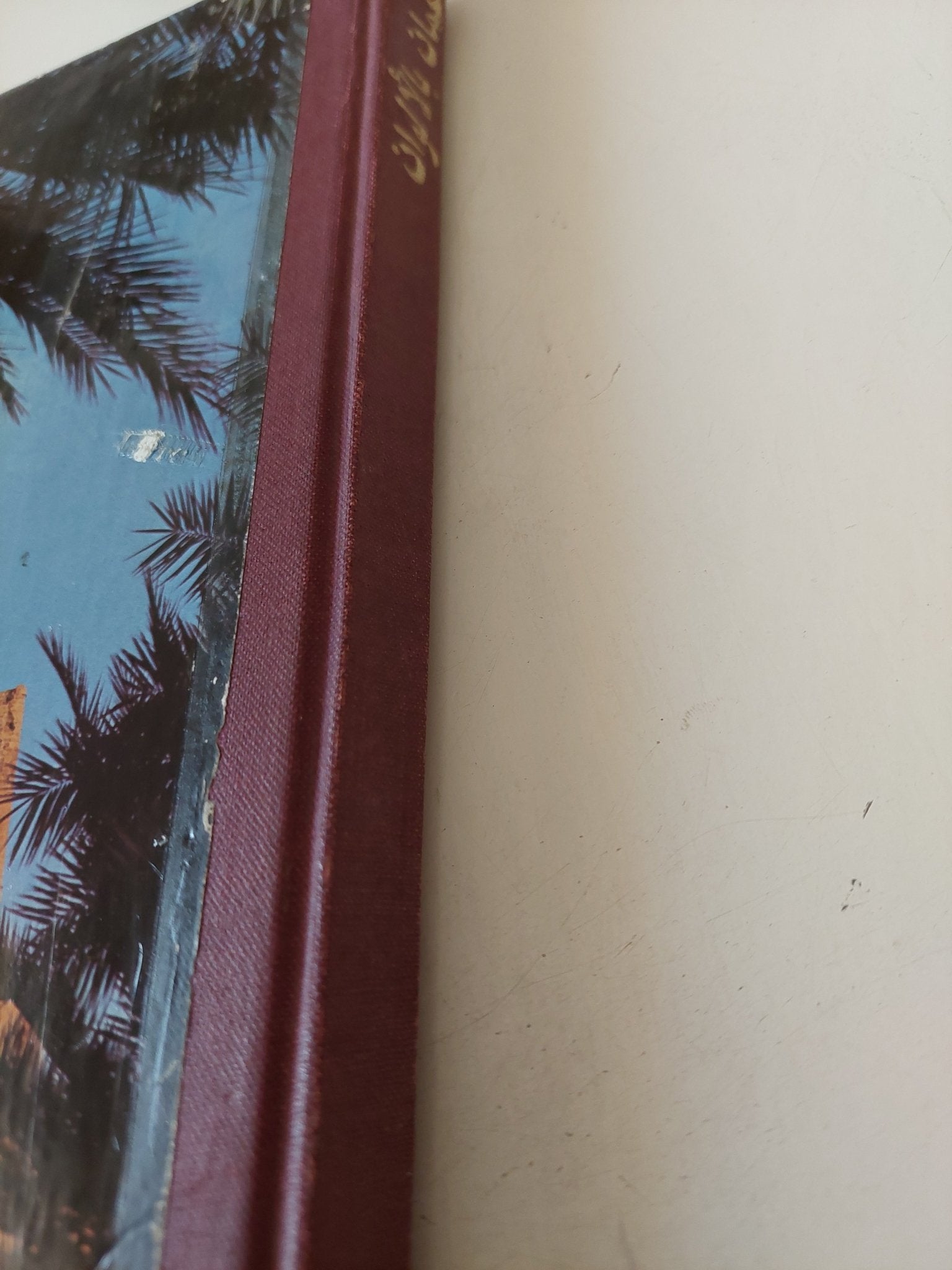 عمان بالألوان - قطع كبير هارد كفر - متجر كتب مصر - متجر كتب مصر