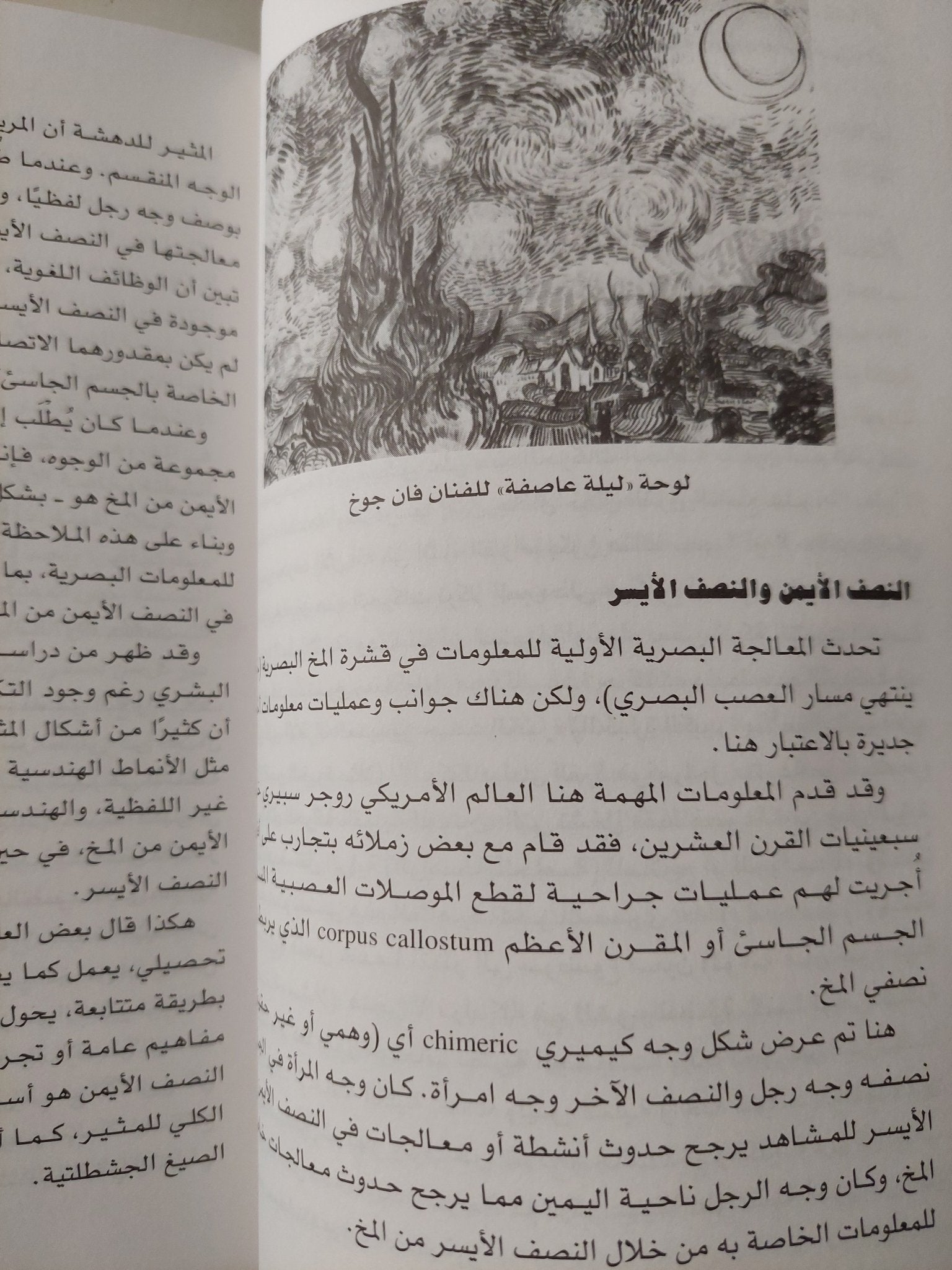 عصر الصورة / شاكر عبد الحميد - متجر كتب مصر - متجر كتب مصر