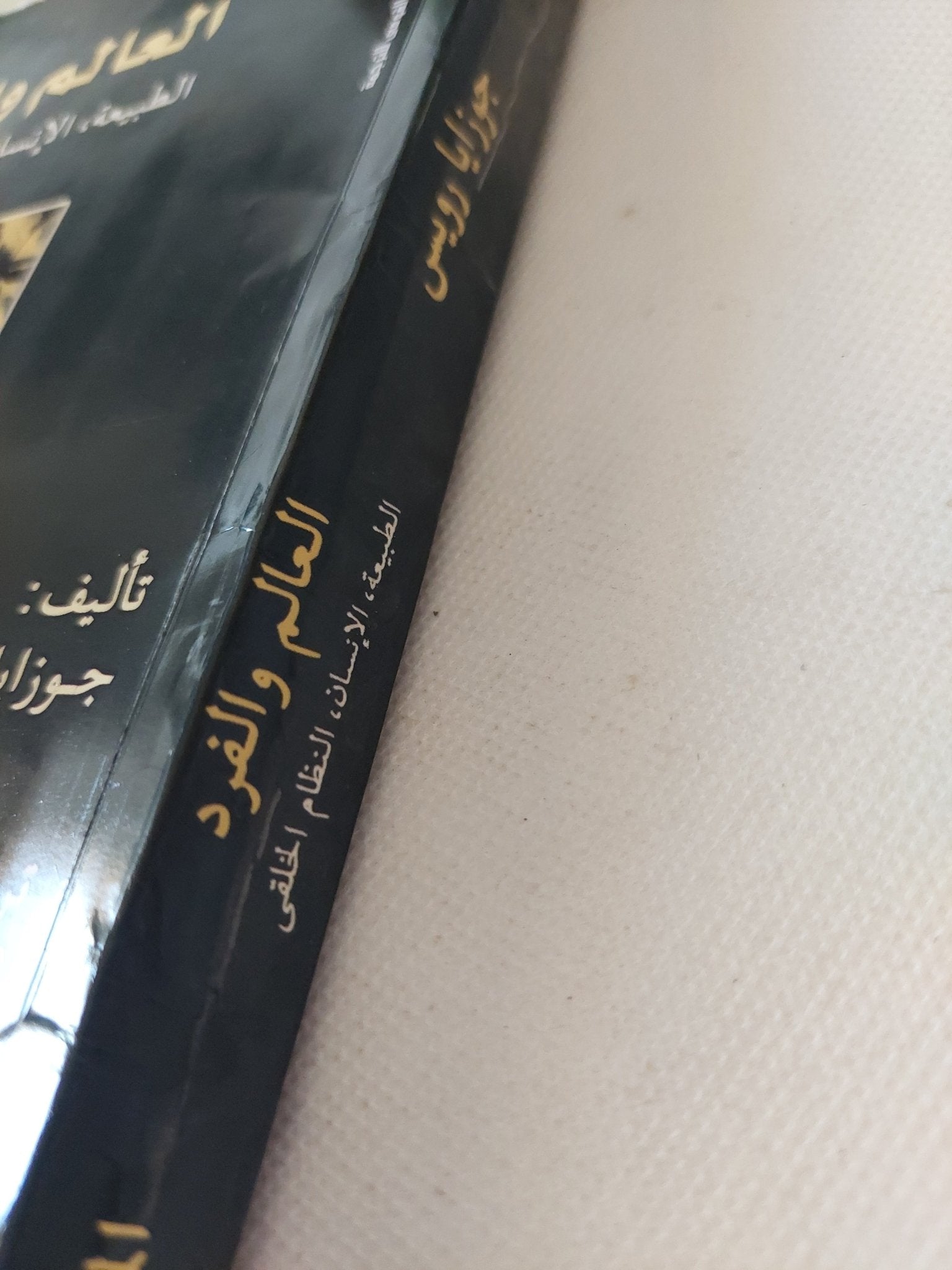 العالم والفرد مجلد 2 .. الطبيعة الإنسان النظام الخلقى / جوزايا رويس - متجر كتب مصر - المكتبة الفلسفية