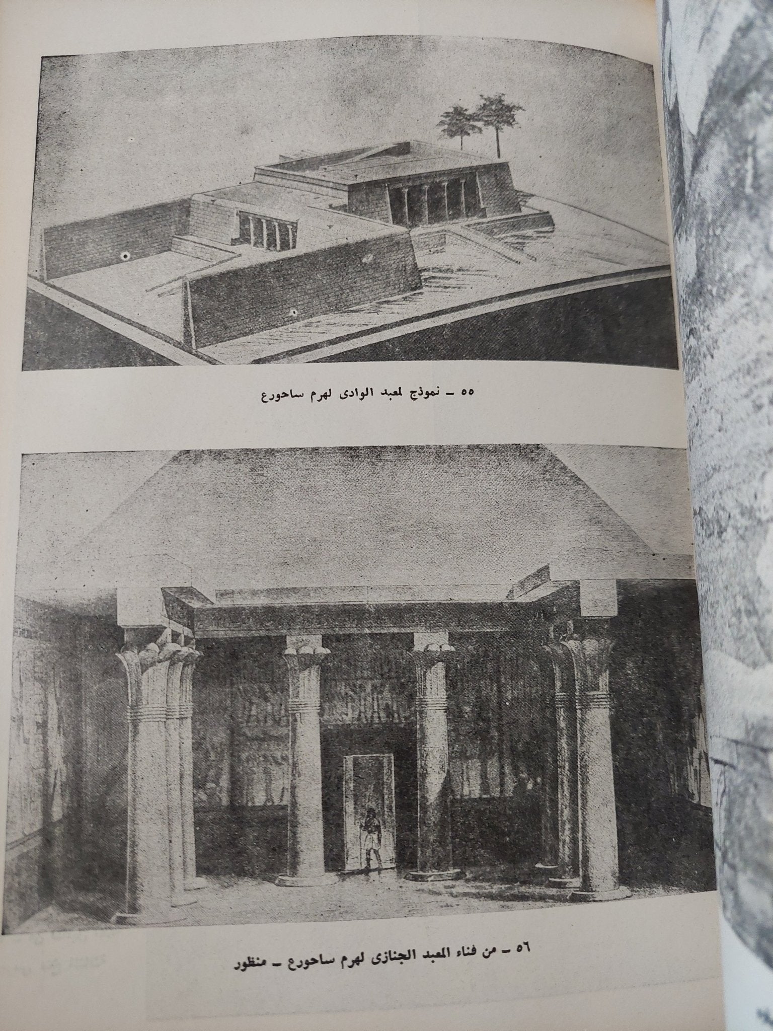 العمارة فى مصر القديمة / محمد أنور شكرى - هارد كفر قطع كبير / ملحق بالصور - متجر كتب مصر - متجر كتب مصر