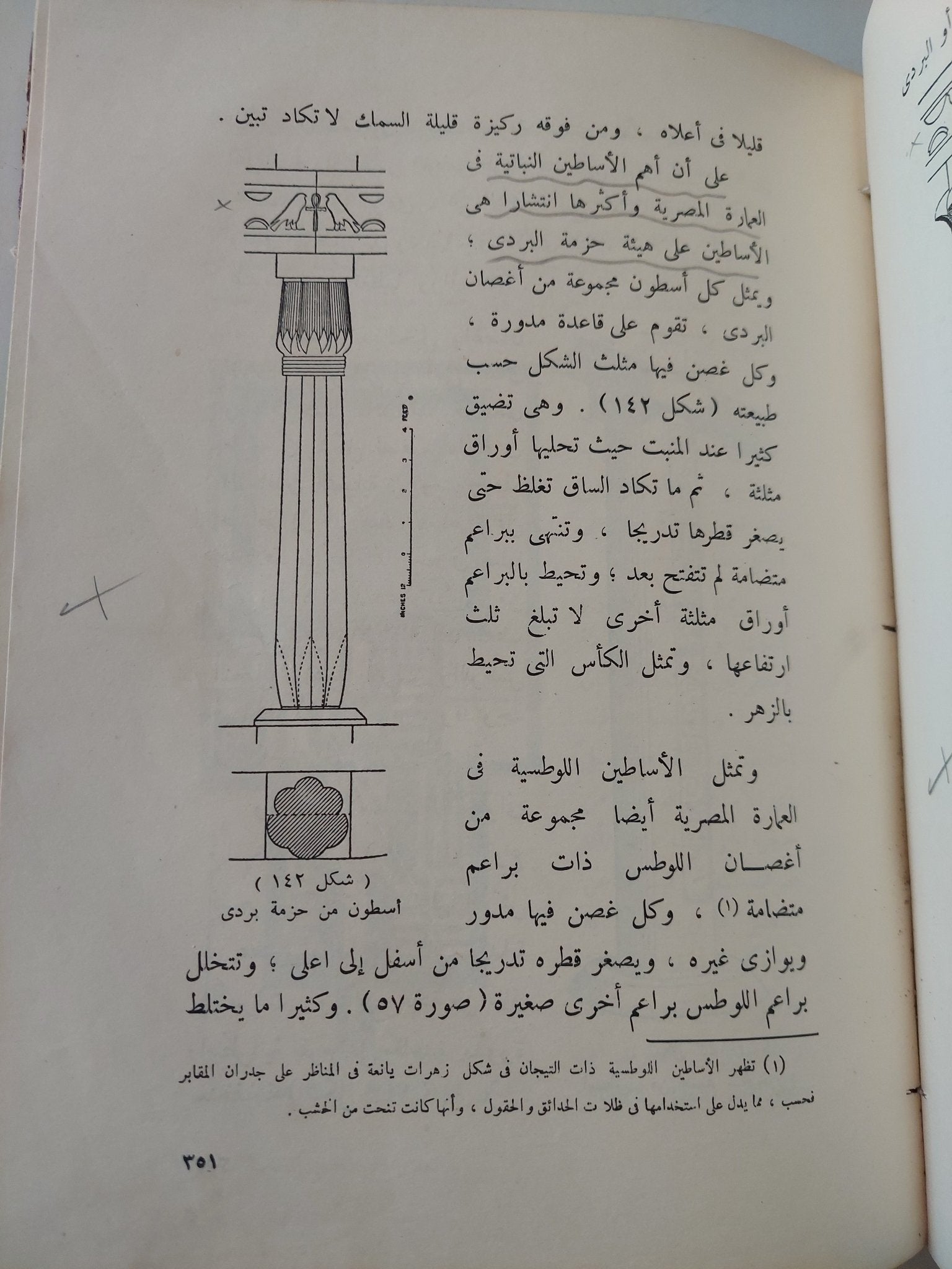 العمارة فى مصر القديمة / محمد انور شكرى - قطع كبير ملحق بالصور / هارد كفر - متجر كتب مصر - متجر كتب مصر