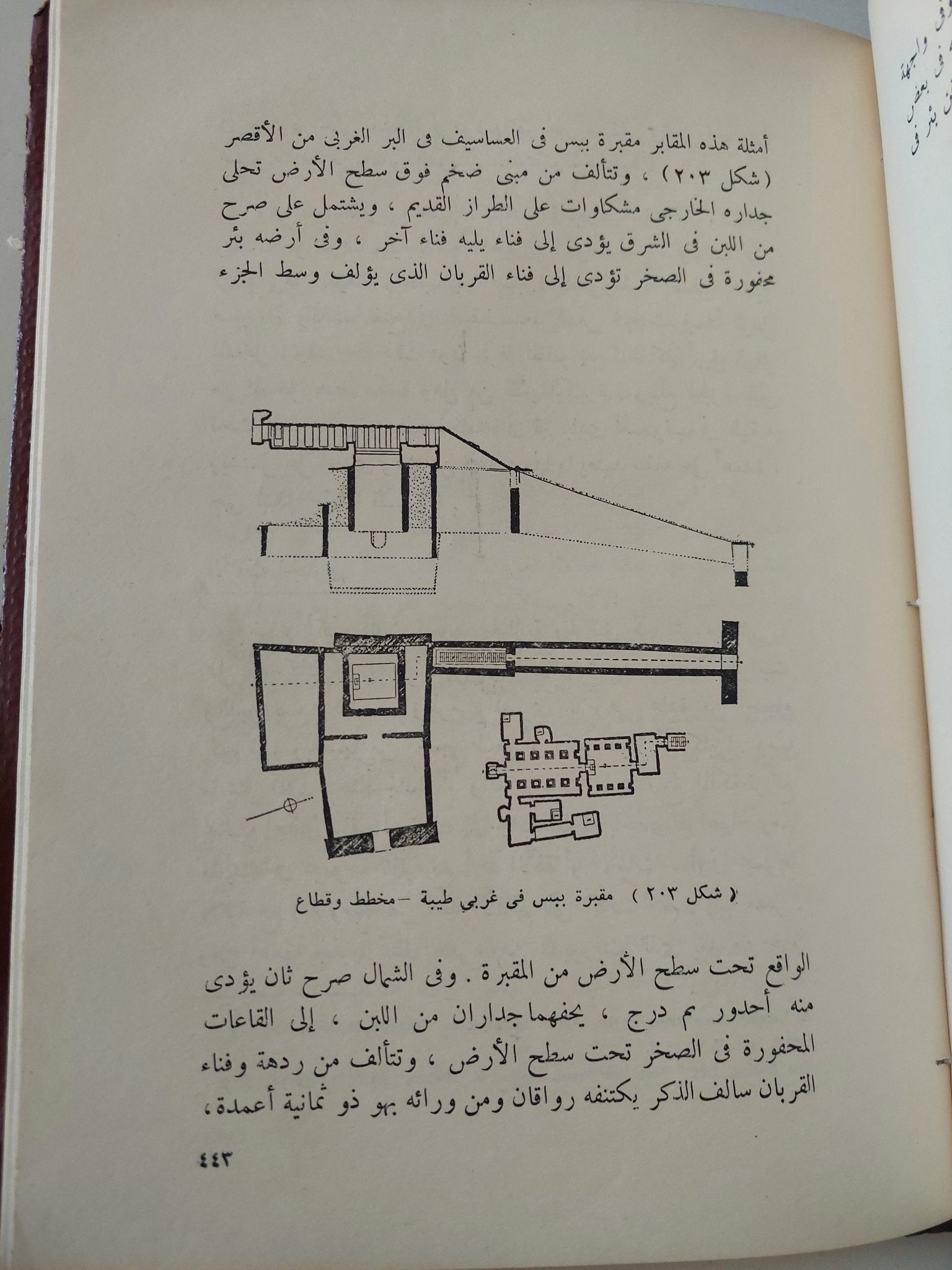 العمارة فى مصر القديمة / محمد انور شكرى - قطع كبير ملحق بالصور / هارد كفر - متجر كتب مصر - متجر كتب مصر