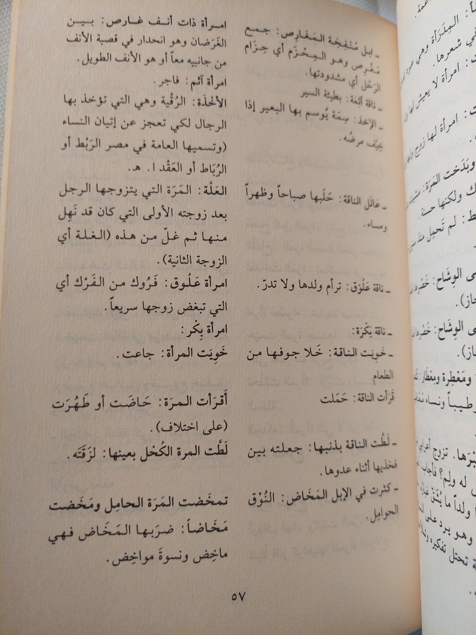 العرب والمرأة .. حفرية فى الإسطير المخيم / خليل عبد الكريم - متجر كتب مصر - المكتبة الفلسفية