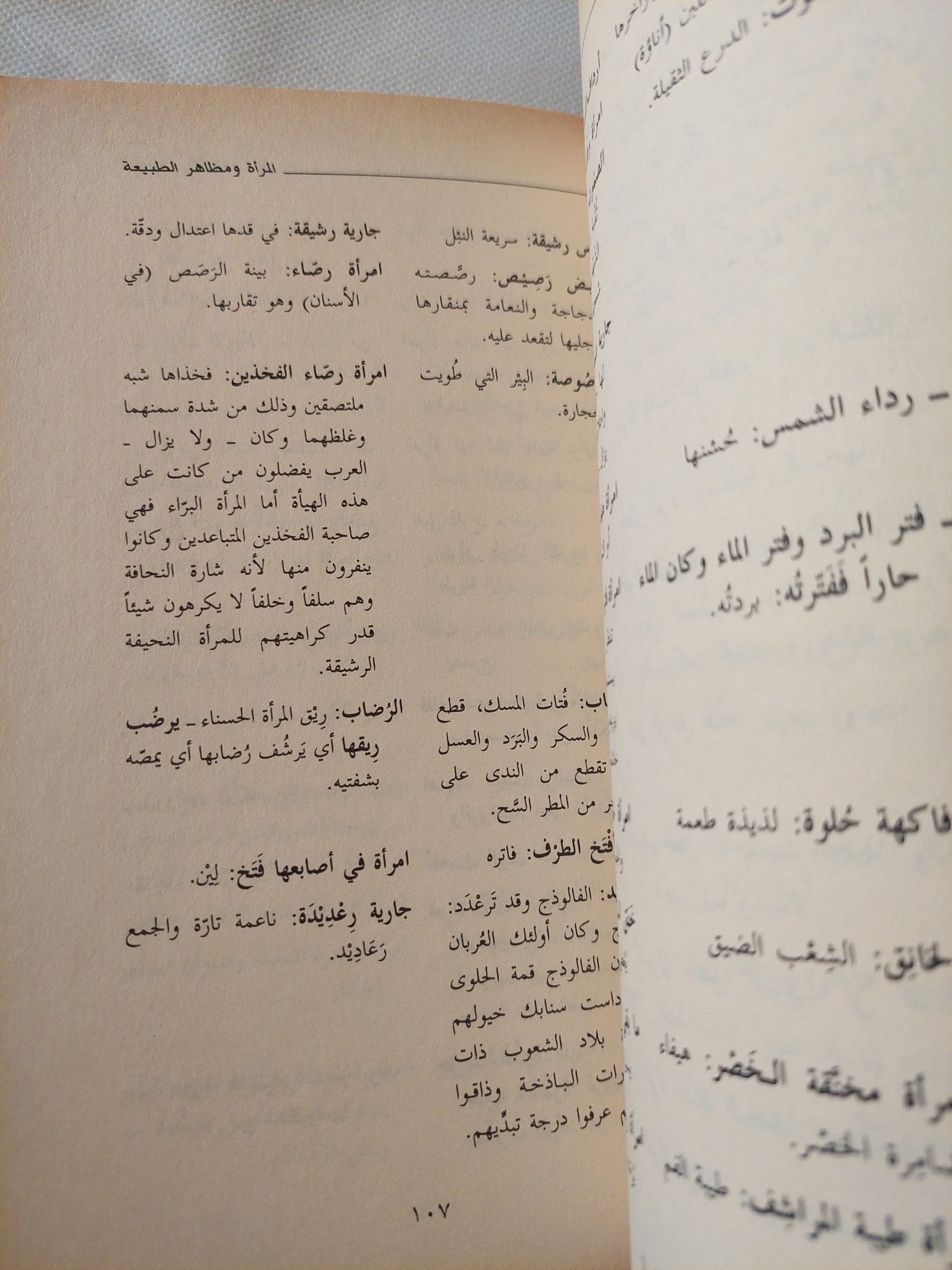 العرب والمرأة .. حفرية فى الإسطير المخيم / خليل عبد الكريم - متجر كتب مصر - المكتبة الفلسفية