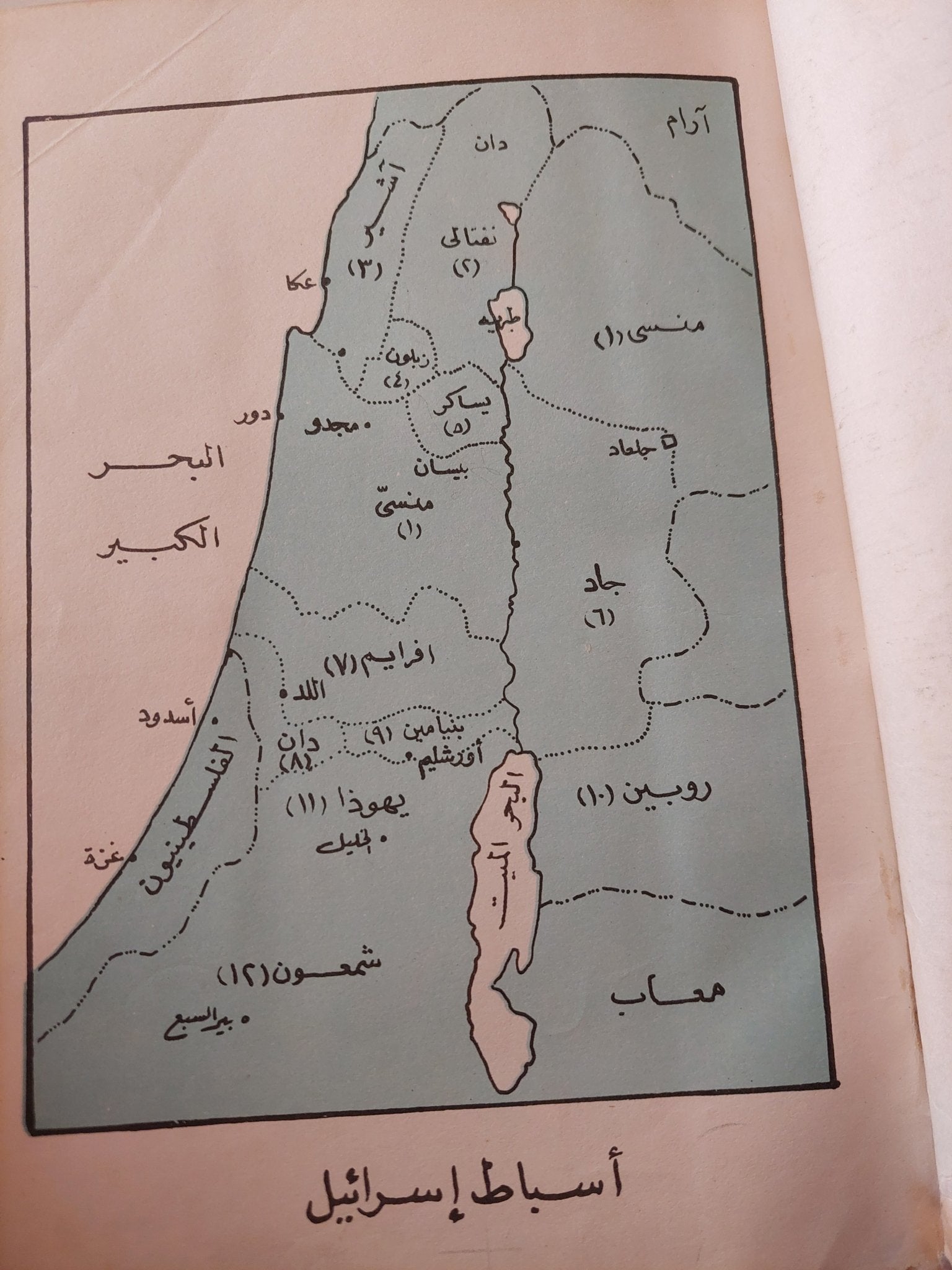 العسكرية الصهيونية - هارد كفر - متجر كتب مصر - متجر كتب مصر