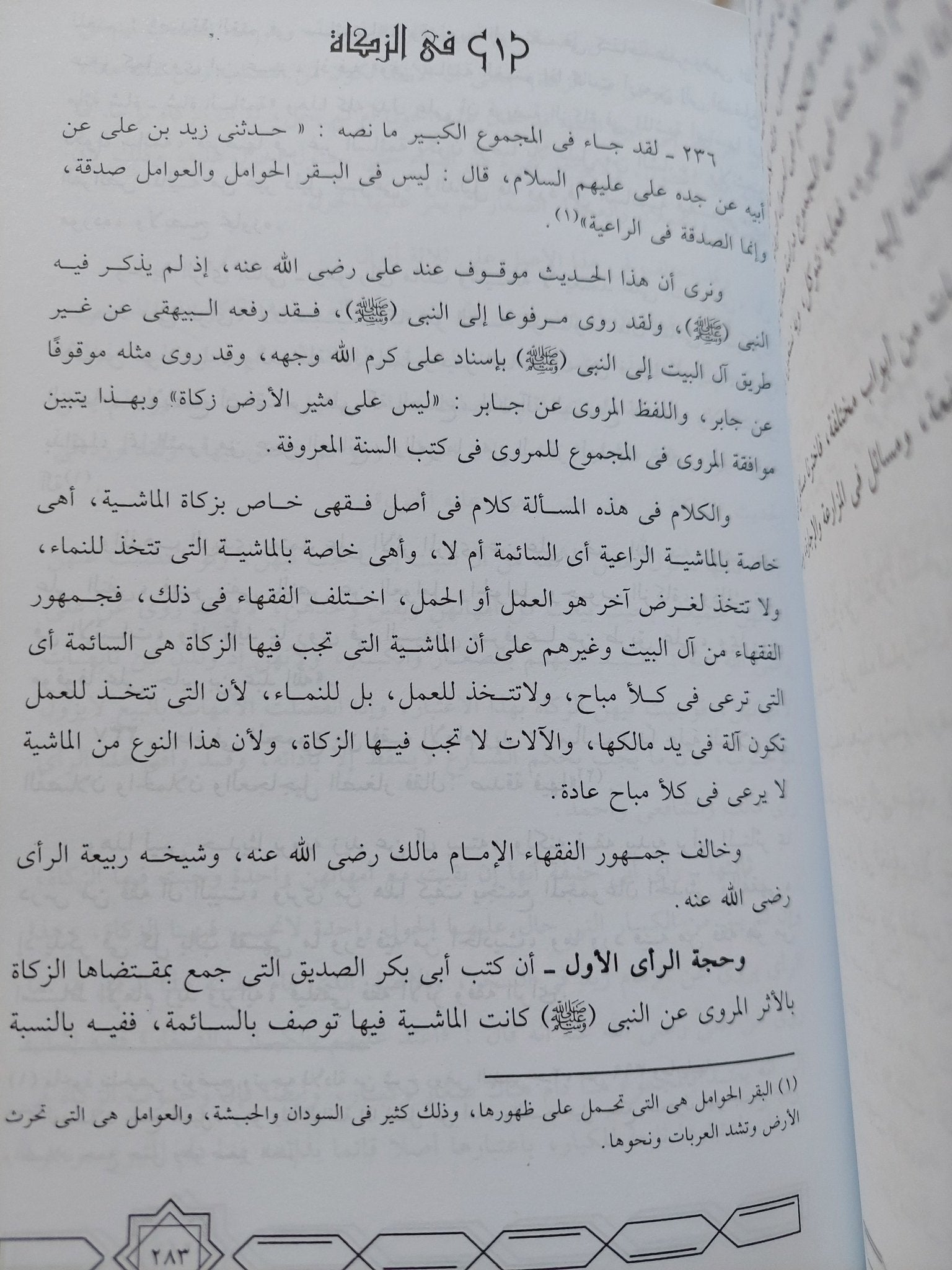 الأمام زيد .. حياته وعصره اراؤه وفقهه / الإمام محمد أبو زهرة - هارد كفر - متجر كتب مصر - المكتبة الفلسفية