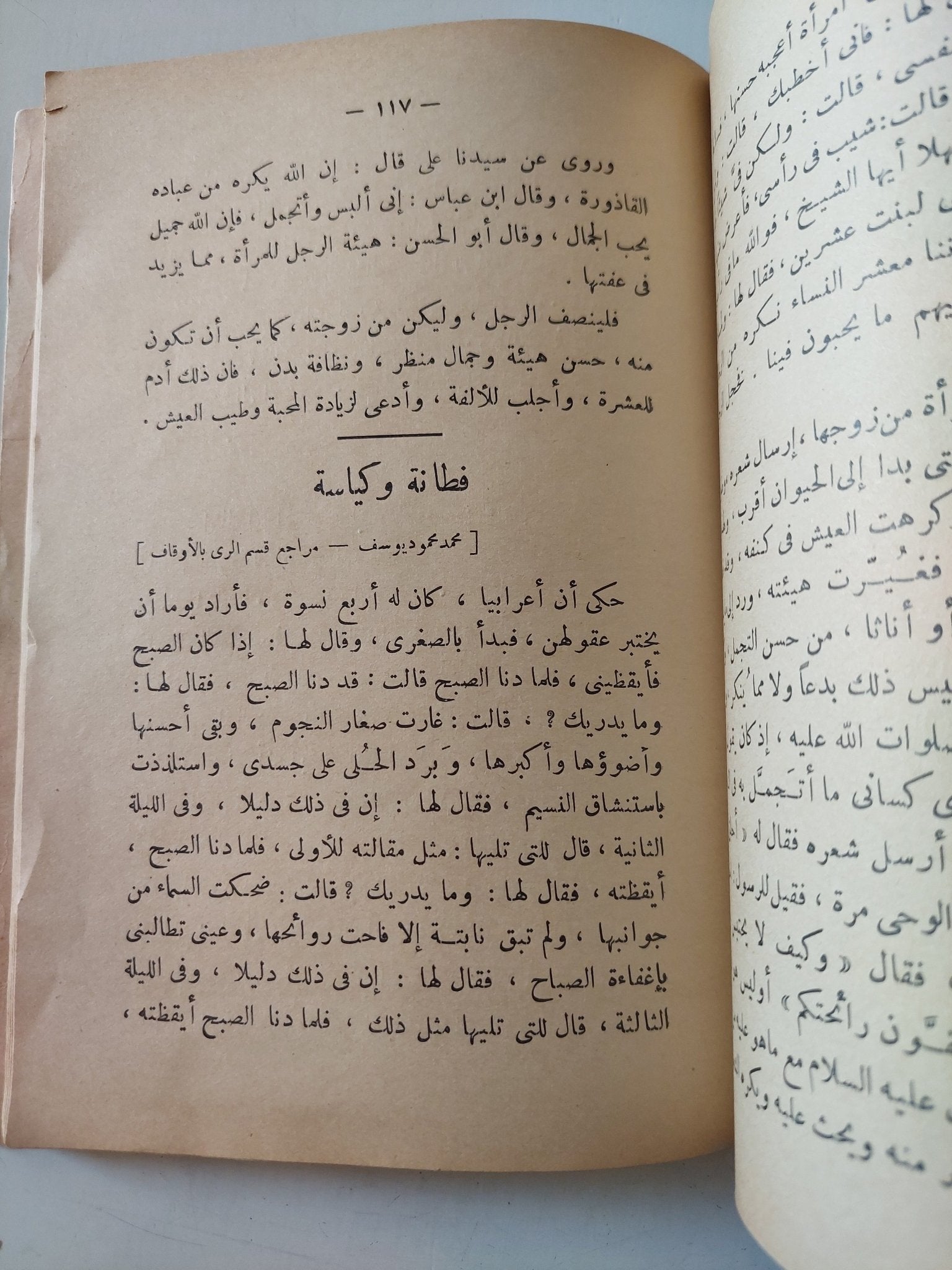 الأنابيش ج1 / عبد الرحمن الضبع - متجر كتب مصر - متجر كتب مصر