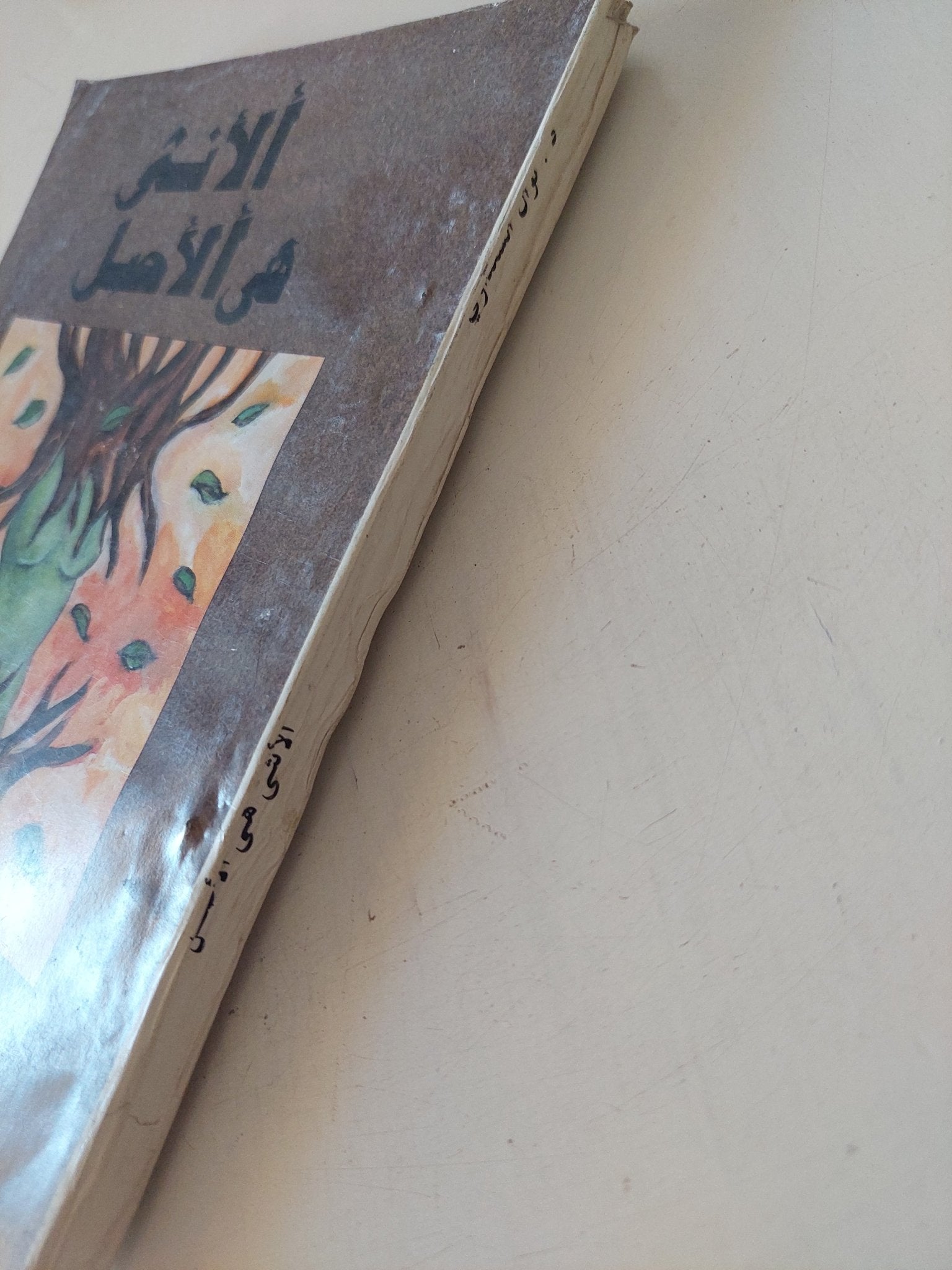 الأنثى هى الأصل / نوال السعداوى - متجر كتب مصر - متجر كتب مصر
