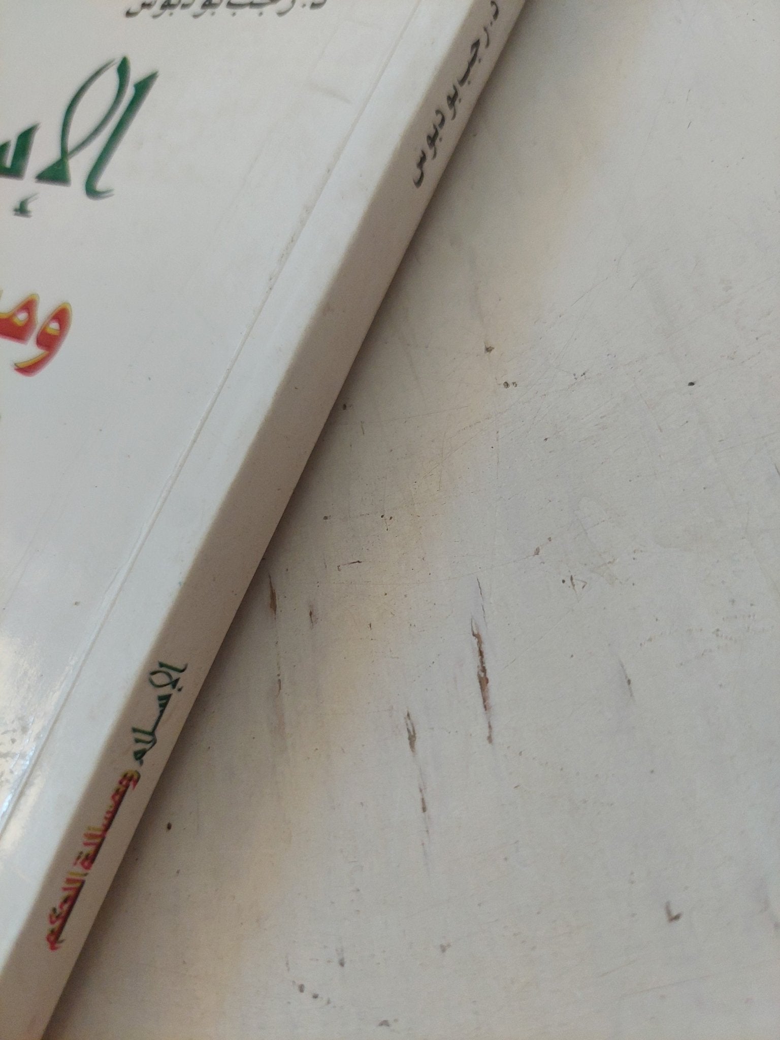 الإسلام ومسألة الحكم / رجب بودوبوس - متجر كتب مصر - المكتبة الفلسفية