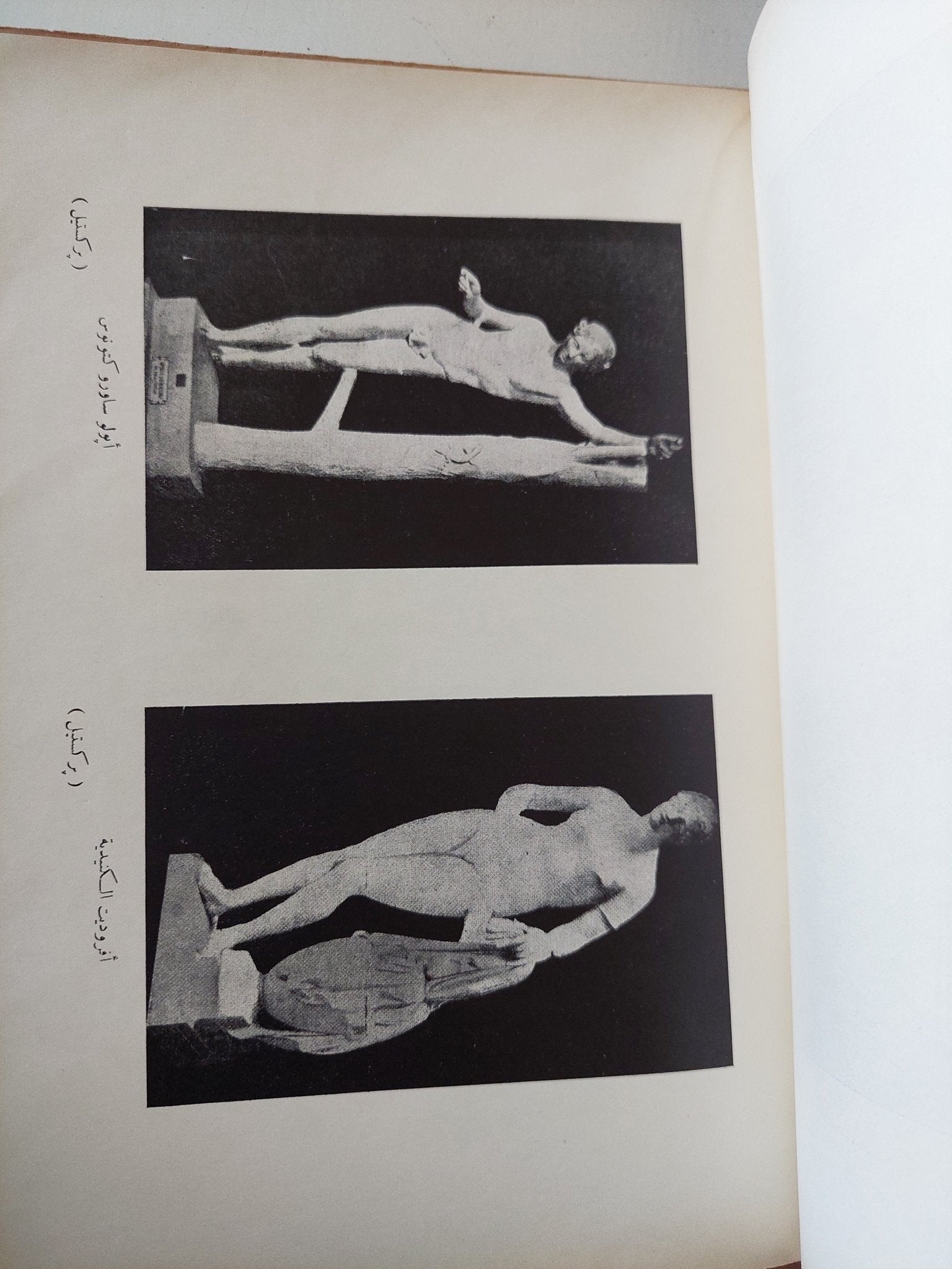 الأسس النفسية للإبداع الفنى فى الشعر خاصة / مصطفى سويف - ملحق بالصور - متجر كتب مصر - متجر كتب مصر