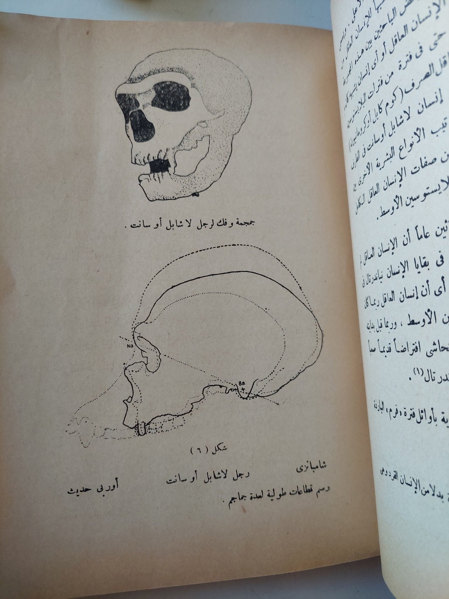 الأزمنة والأمكنة / هارولد بيك وجون فلير - متجر كتب مصر - متجر كتب مصر