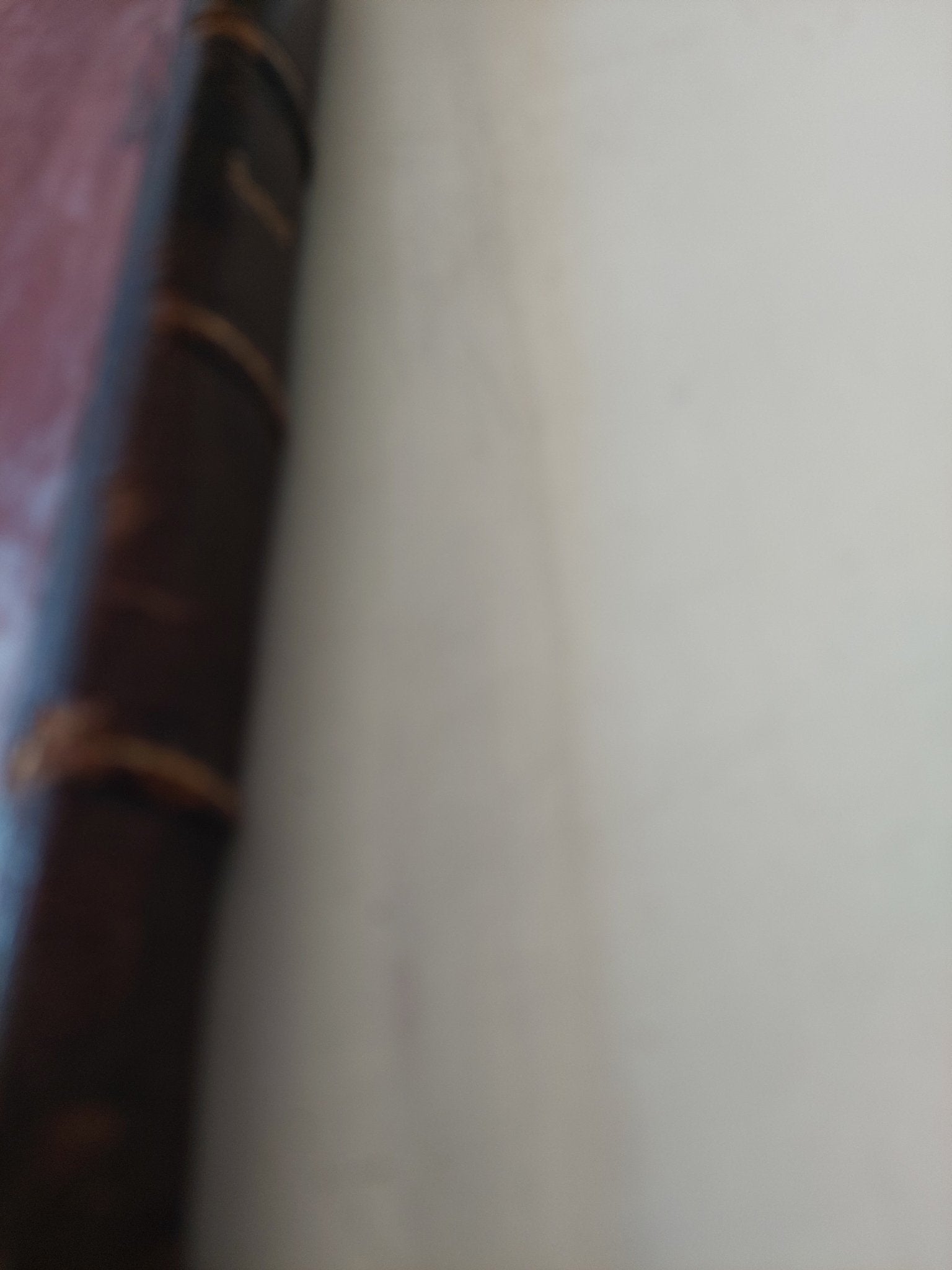 الضحية وروايات وأبحاث أخرى / رابندرانات طاغور - متجر كتب مصر - المكتبة الفلسفية