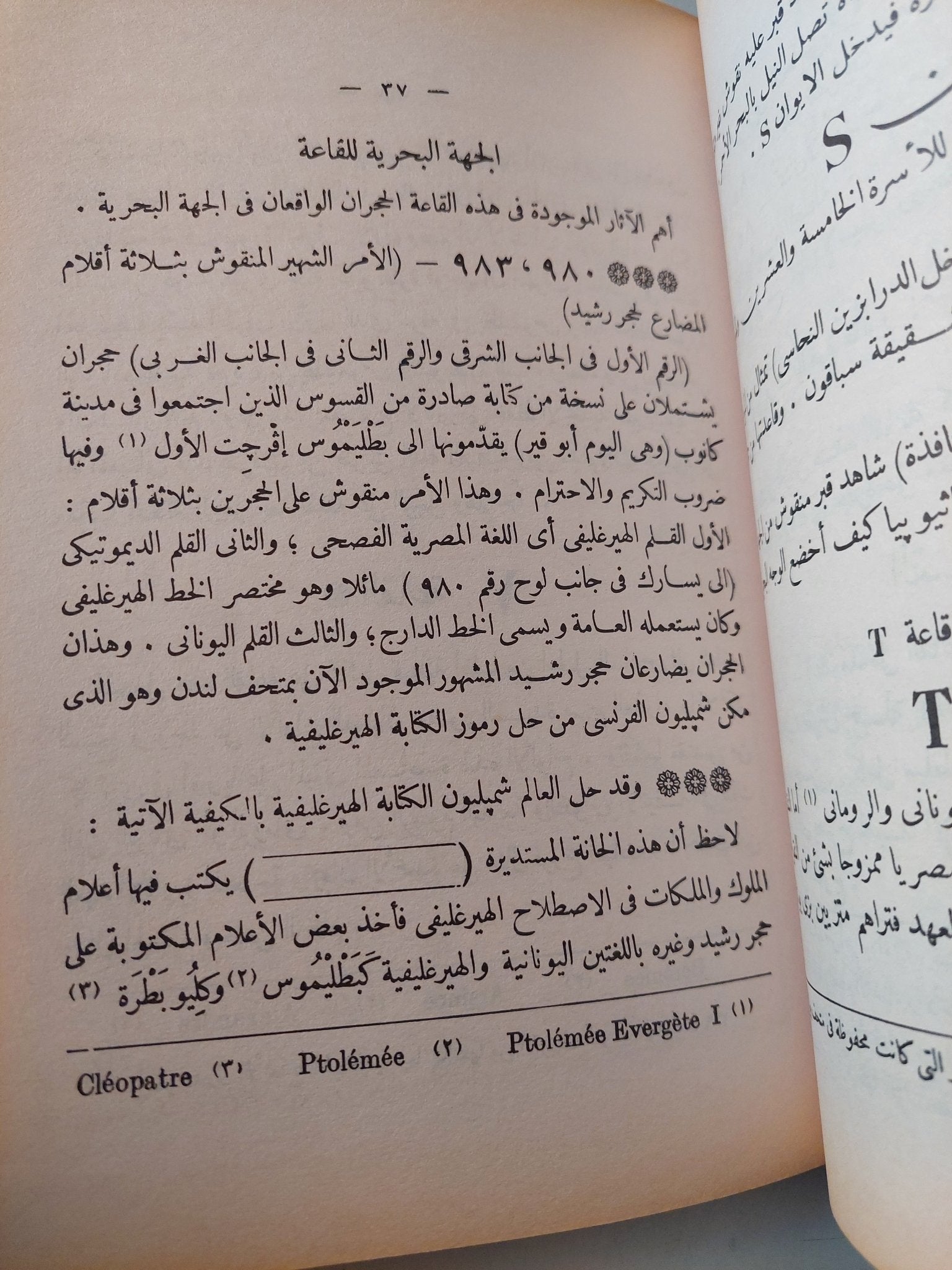 الدليل العصرى للمتحف المصرى / جورج دارسى - متجر كتب مصر - متجر كتب مصر