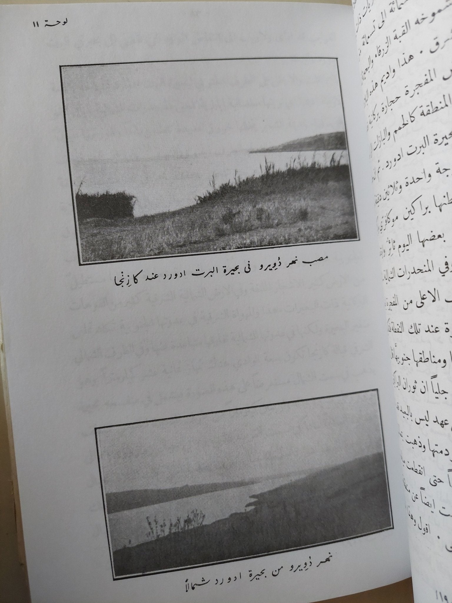 الدليل فى مواد أهالى النيل / وليم جارستن ملحق بالصور والخرائط/ مجلد ضخم - متجر كتب مصرمتجر كتب مصر