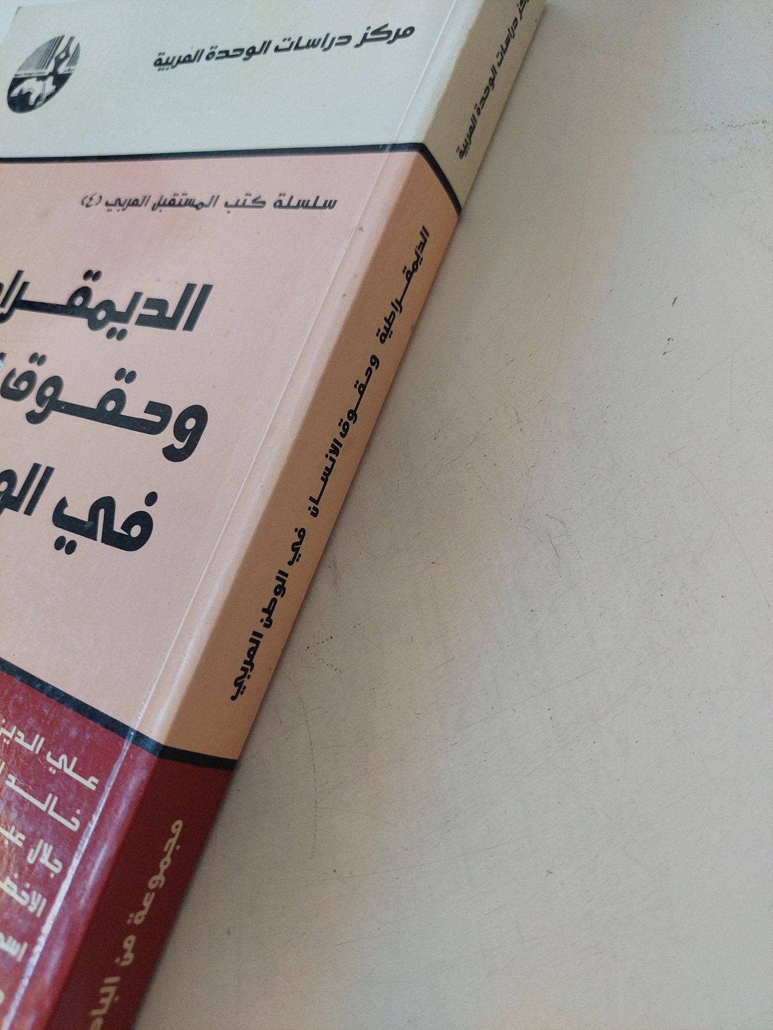 الديمقراطية وحقوق الإنسان فى الوطن العربى - متجر كتب مصر - المكتبة الفلسفية