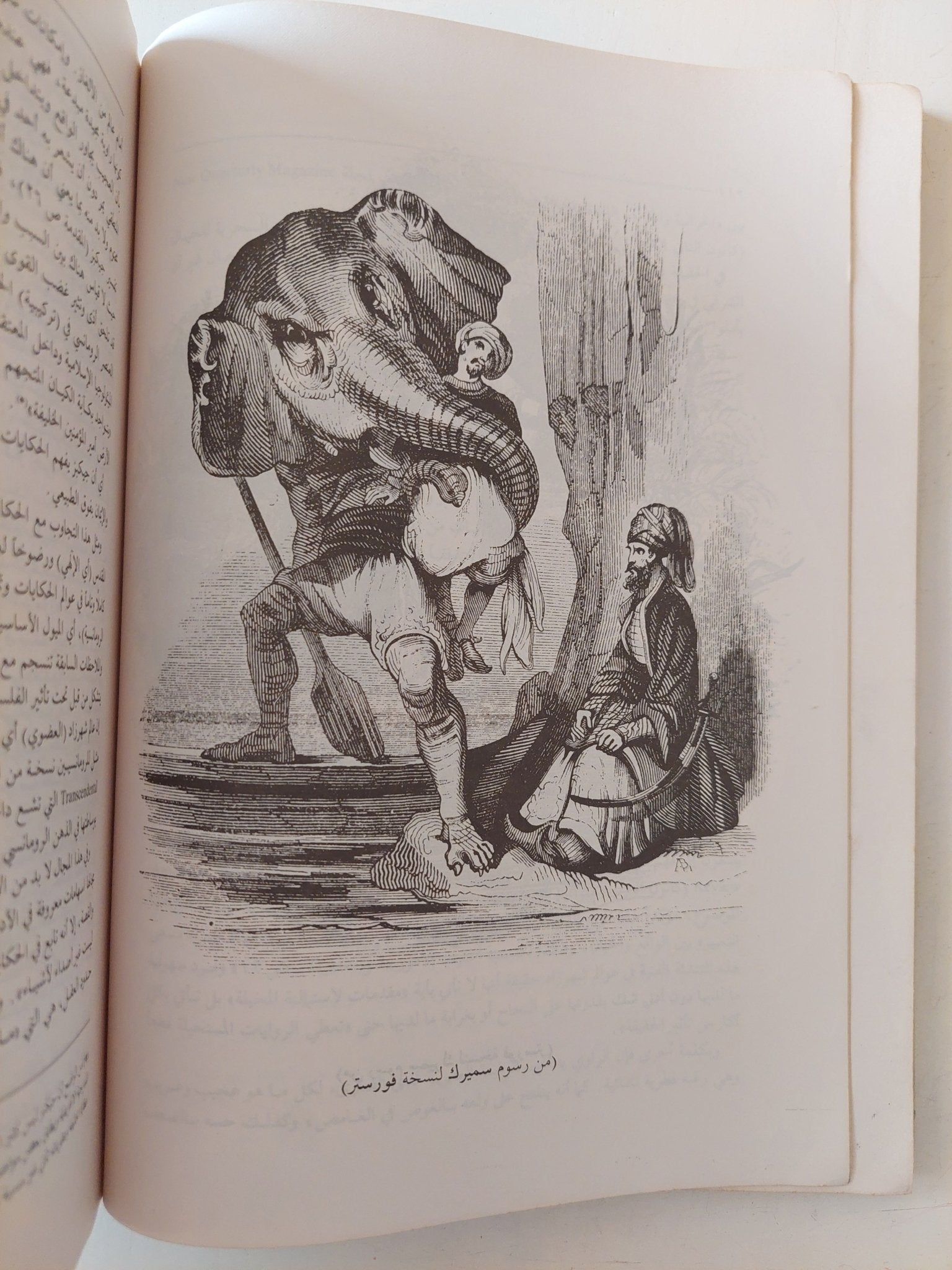 الف ليلة وليلية فى نظرية الأدب الإنجليزى / محسن جاسم الموسوى - متجر كتب مصر - متجر كتب مصر