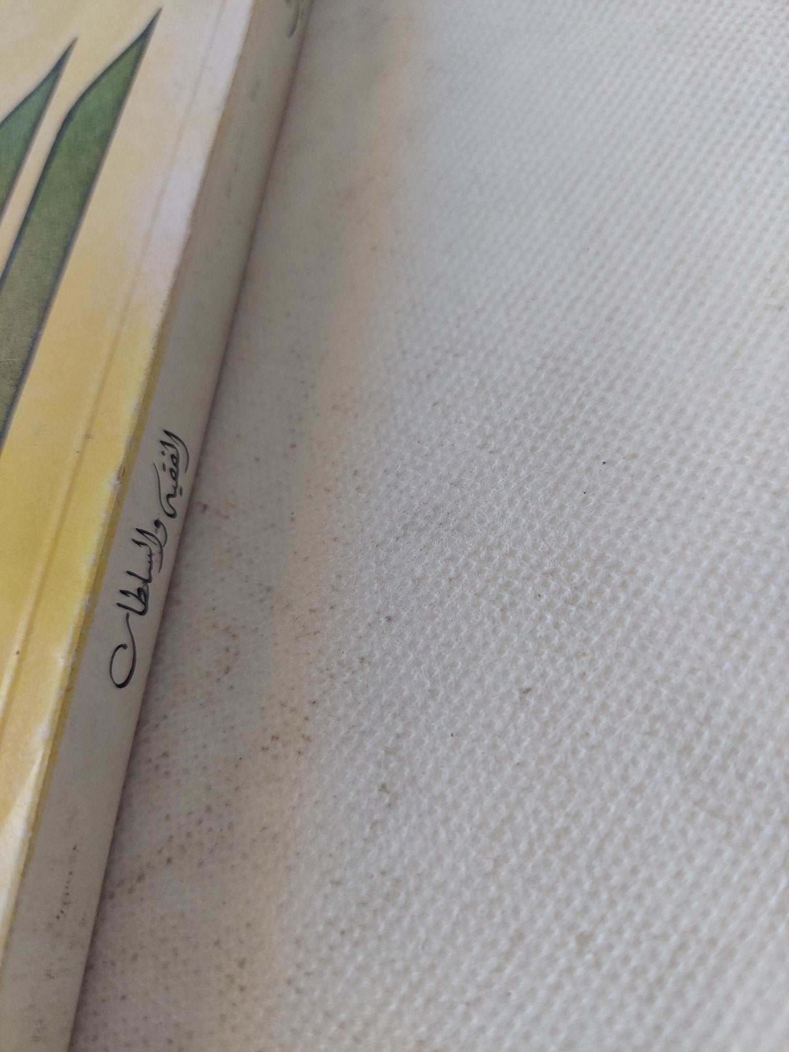 الفقيه والسلطان / وجيه كوثرانى - متجر كتب مصر - المكتبة الفلسفية