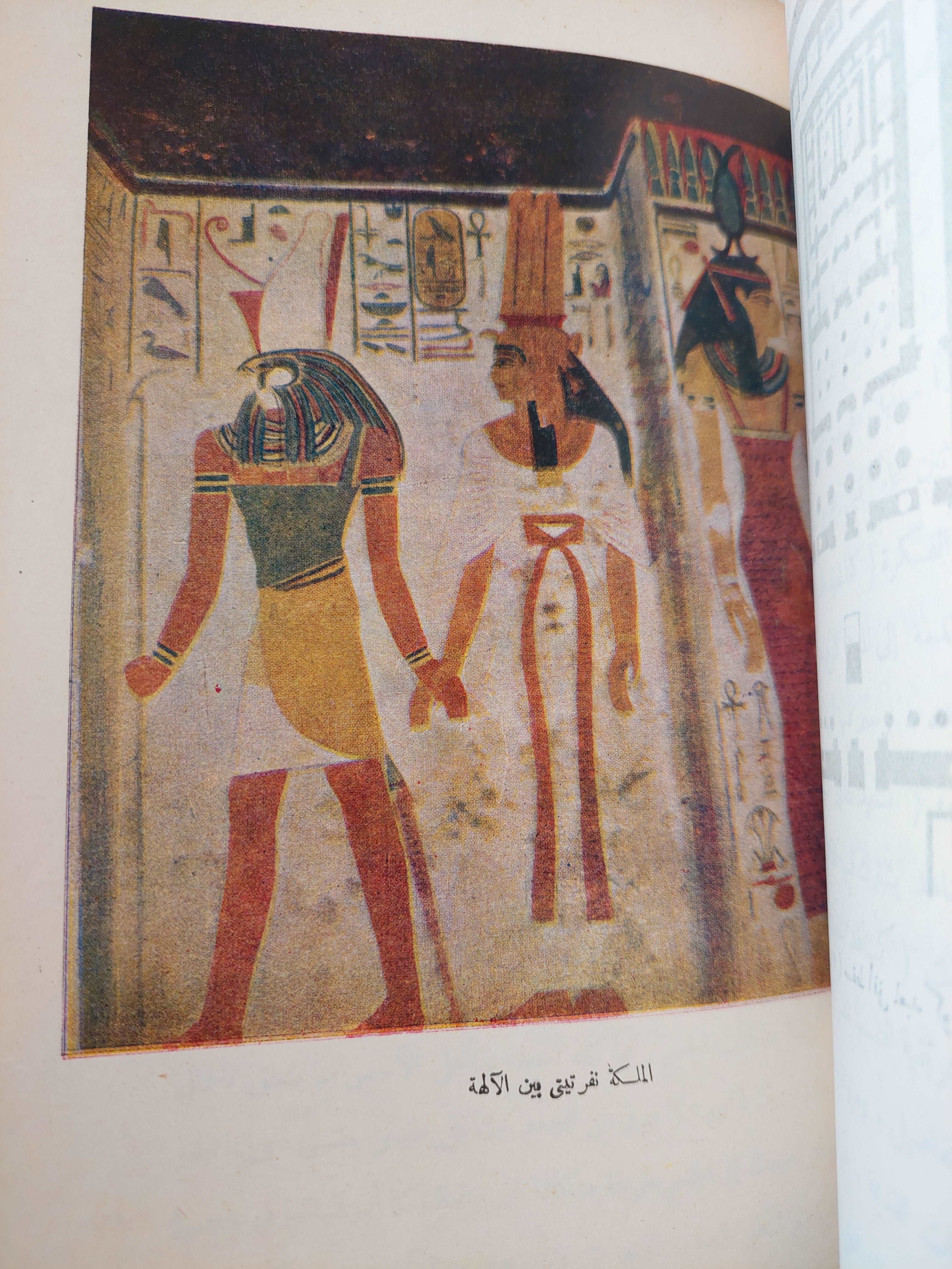 (الفن المصرى القديم (هارد كفر - متجر كتب مصر - متجر كتب مصر