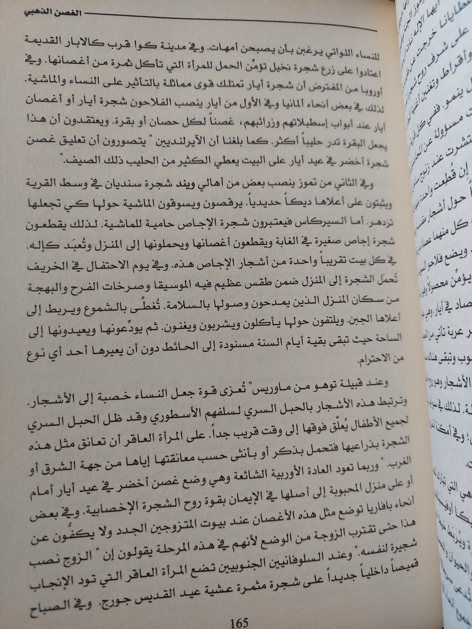 الغصن الذهبى .. دراسة فى السحر والدين / جيمس جورج فرايزر - هارد كفر - متجر كتب مصر - المكتبة الفلسفية