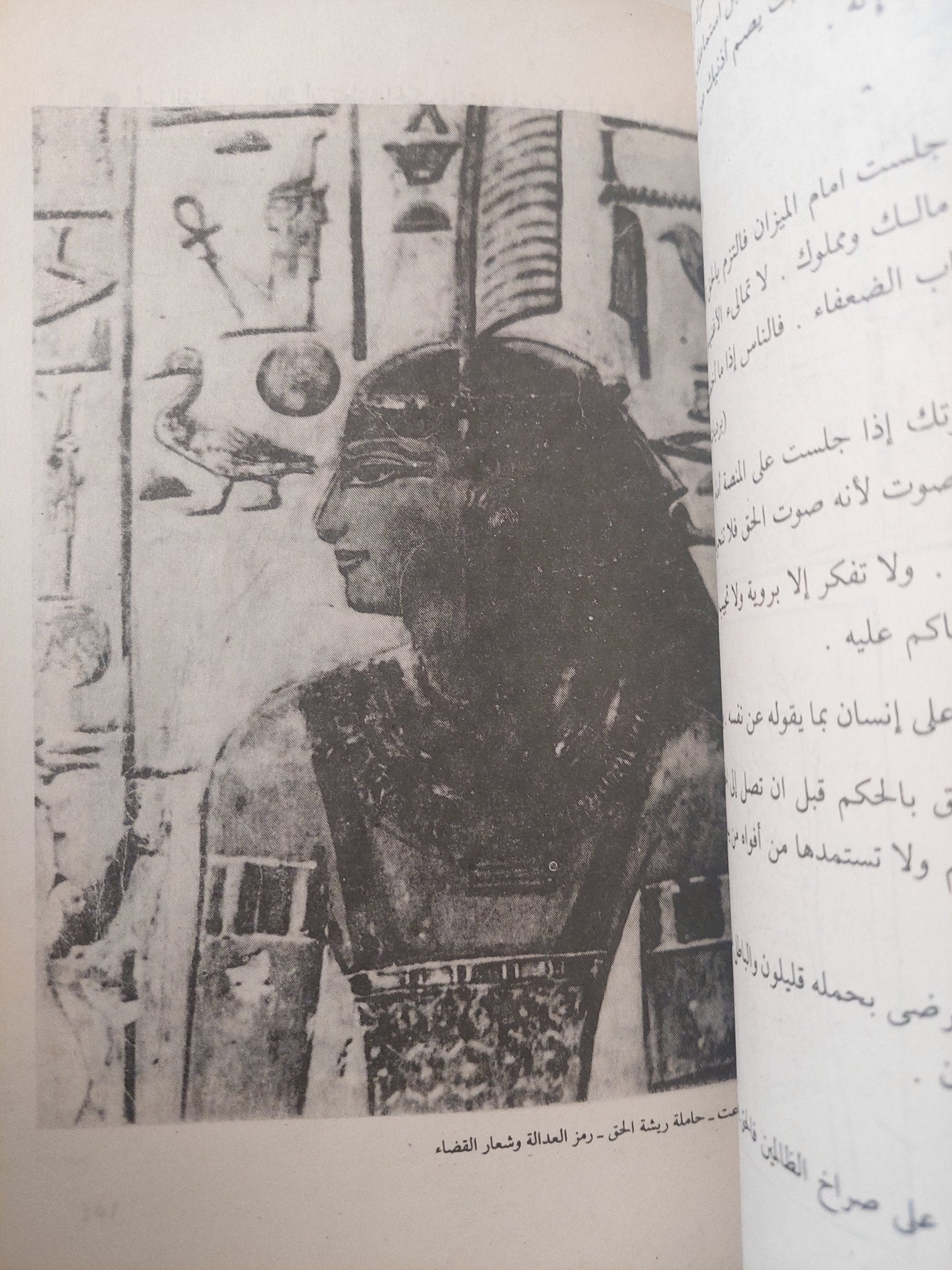 الحكم والأمثال فى الأدب الفرعونى / سيد كريم - متجر كتب مصر - متجر كتب مصر
