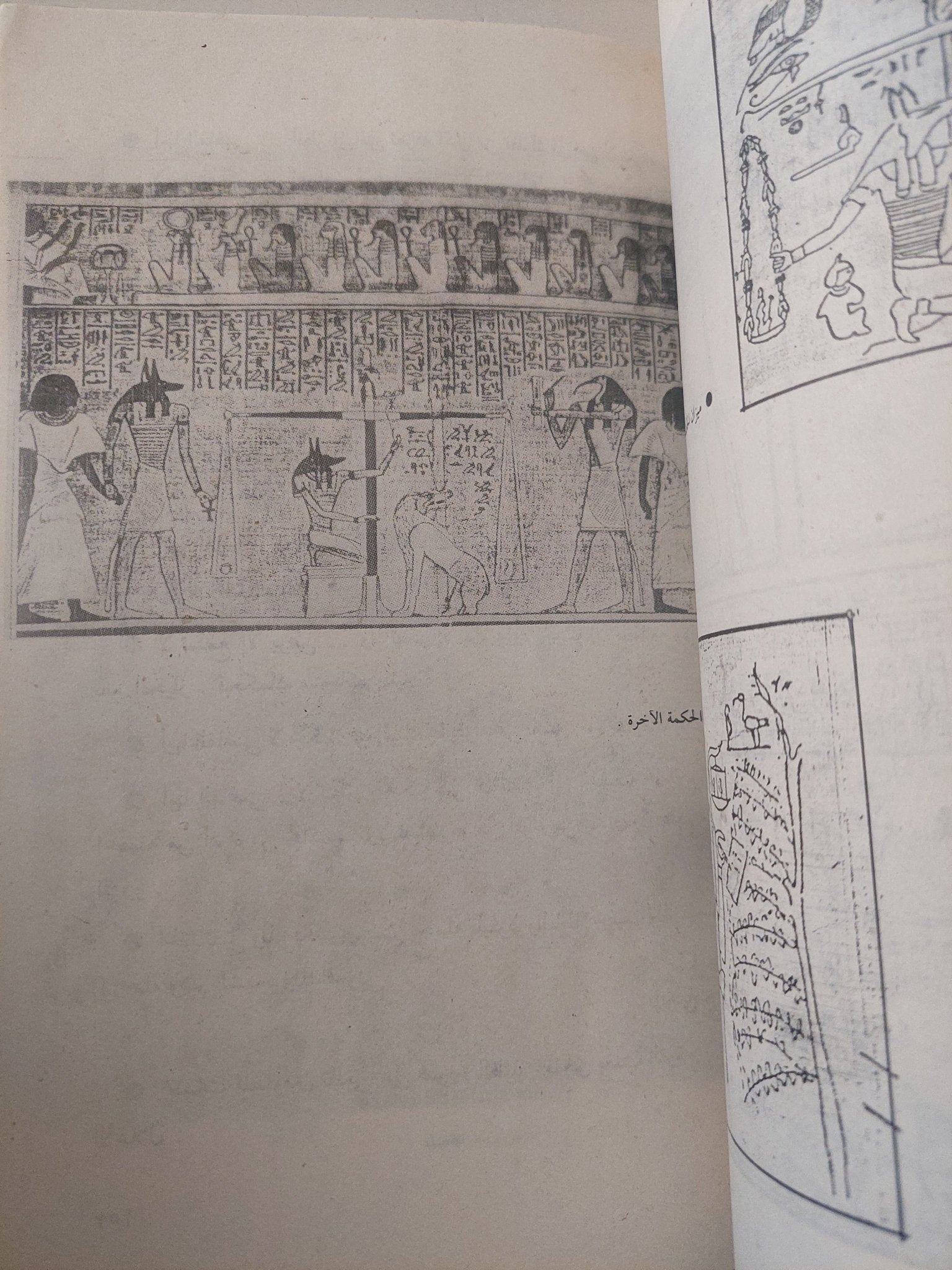 الحكم والأمثال فى الأدب الفرعونى / سيد كريم - متجر كتب مصر - متجر كتب مصر