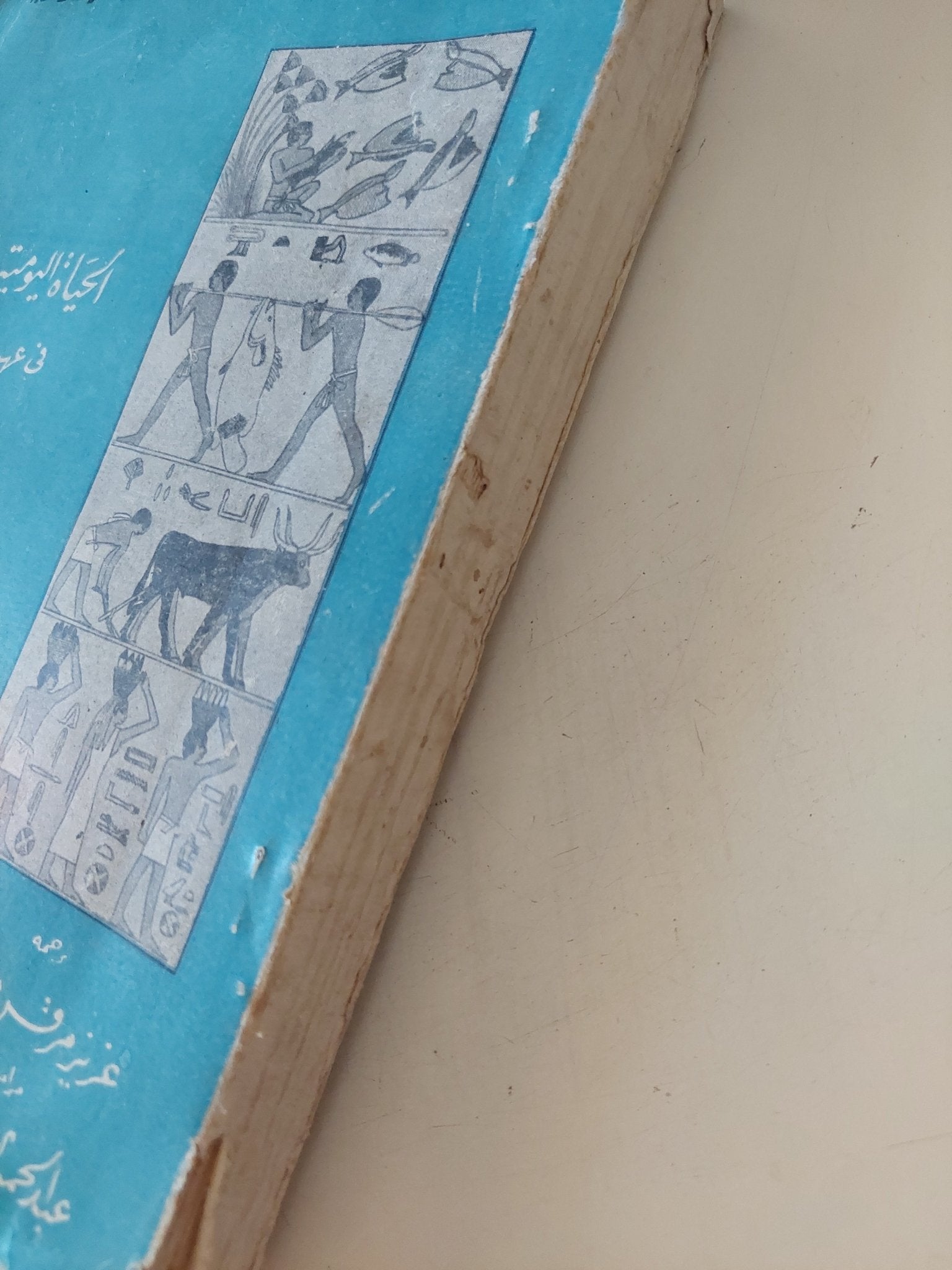 الحياة اليومية فى مصر فى عهد الرعامسة / بيير مونتيه - متجر كتب مصر - متجر كتب مصر