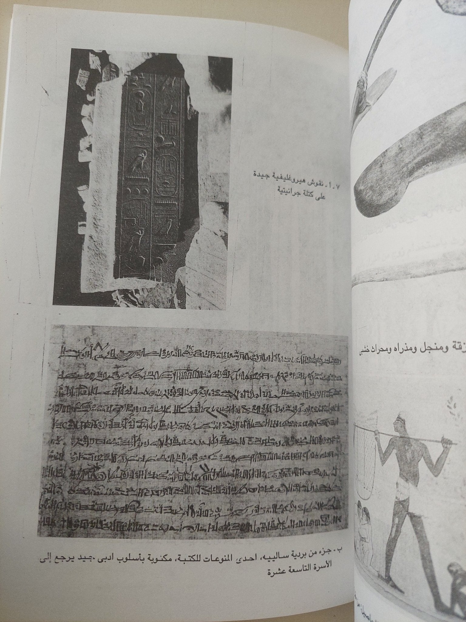 الحياة أيام الفراعنة / ت. ج. جيمز - ملحق بالصور - متجر كتب مصر - متجر كتب مصر