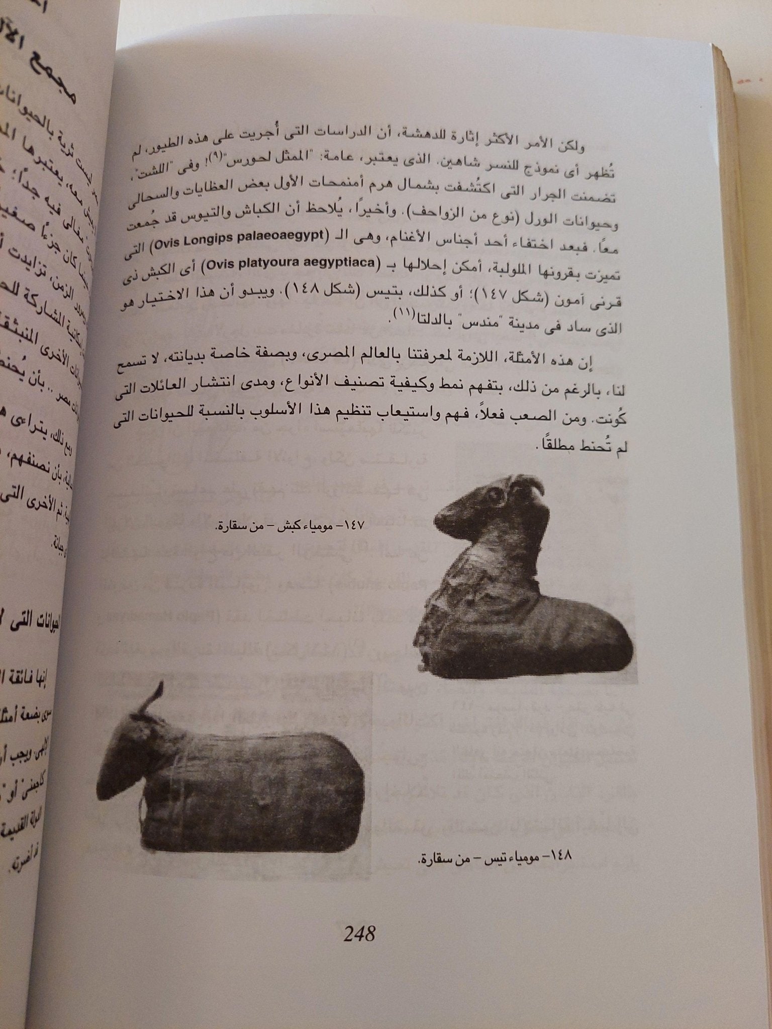 الحيوانات والبشر .. تناغم مصري قديم ( ملحق خاص بالصور ) - متجر كتب مصر - متجر كتب مصر