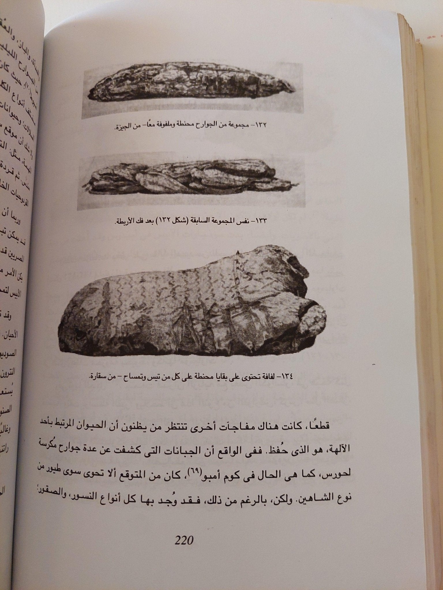 الحيوانات والبشر .. تناغم مصري قديم ( ملحق خاص بالصور ) - متجر كتب مصر - متجر كتب مصر