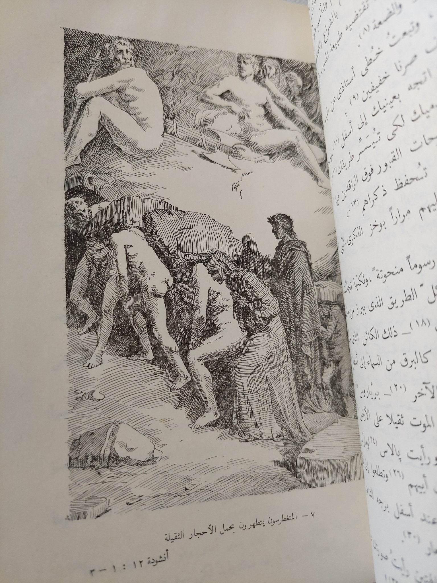 الكوميديا الإلهية / دانتى اليجيرى - ٣ أجزاء هارد كفر / ملحق بالصور - متجر كتب مصر - المكتبة الفلسفية