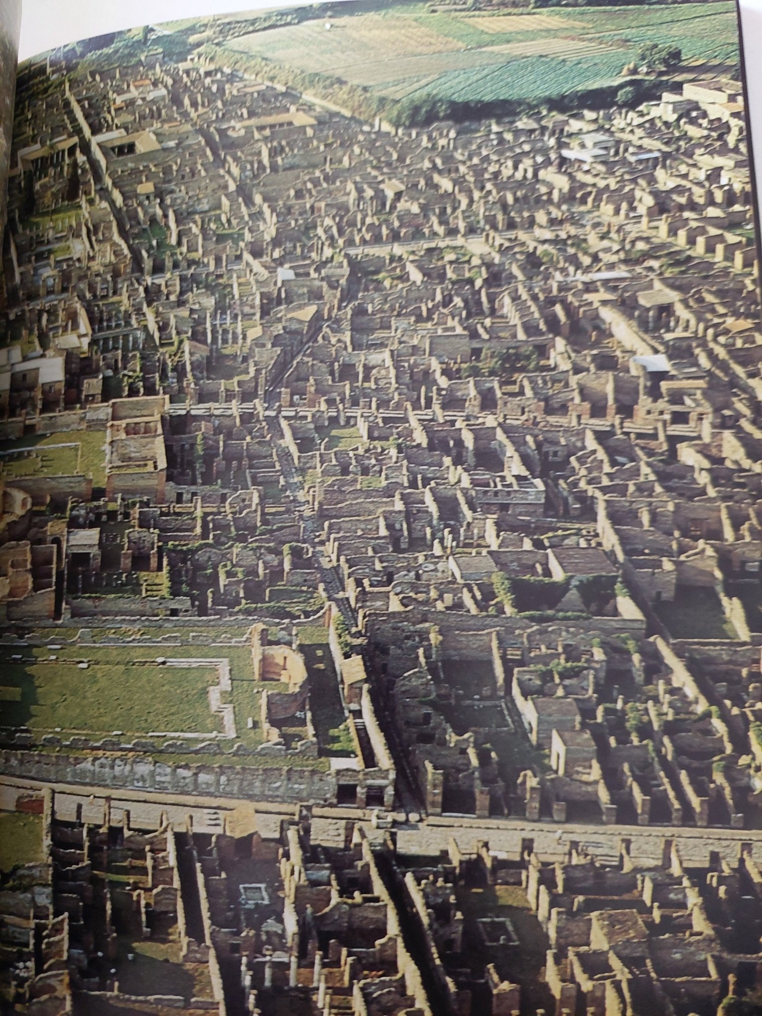 All Pompeii - قطع كبير ملحق بالصور - متجر كتب مصر - متجر كتب مصر