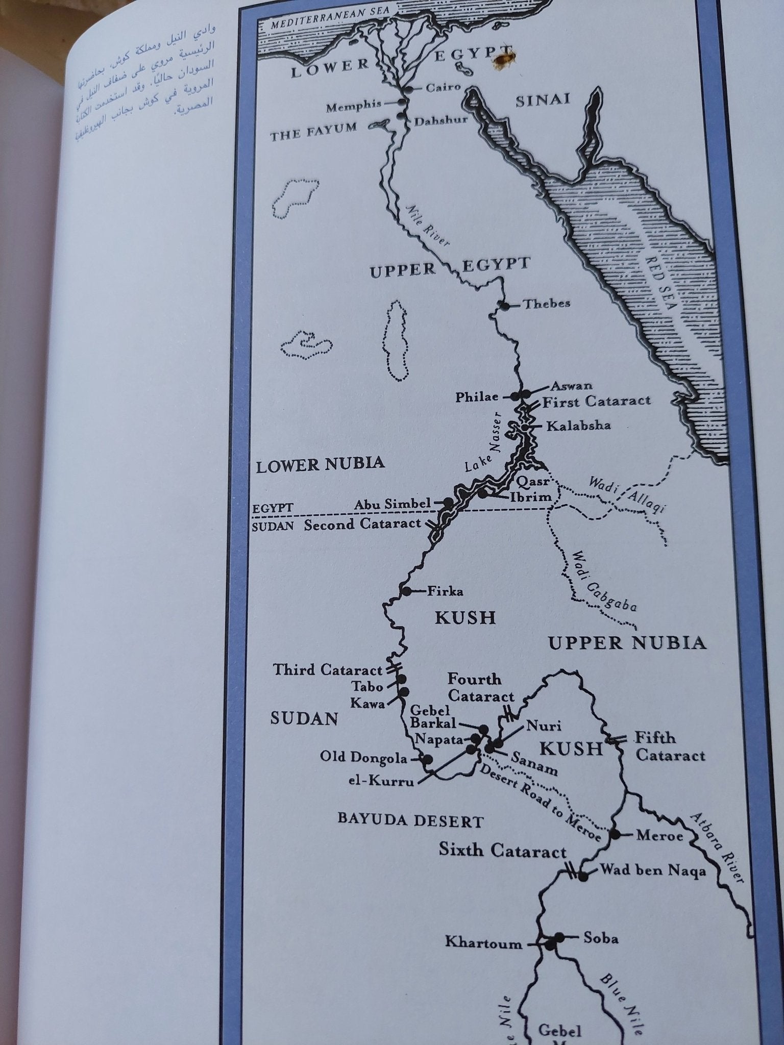 اللغات المفقودة : فك رموز الكتابات المنسية في العالم / أندرو روبنسون - قطع كبير ملحق بالصور هارد كفر - متجر كتب مصر - متجر كتب مصر