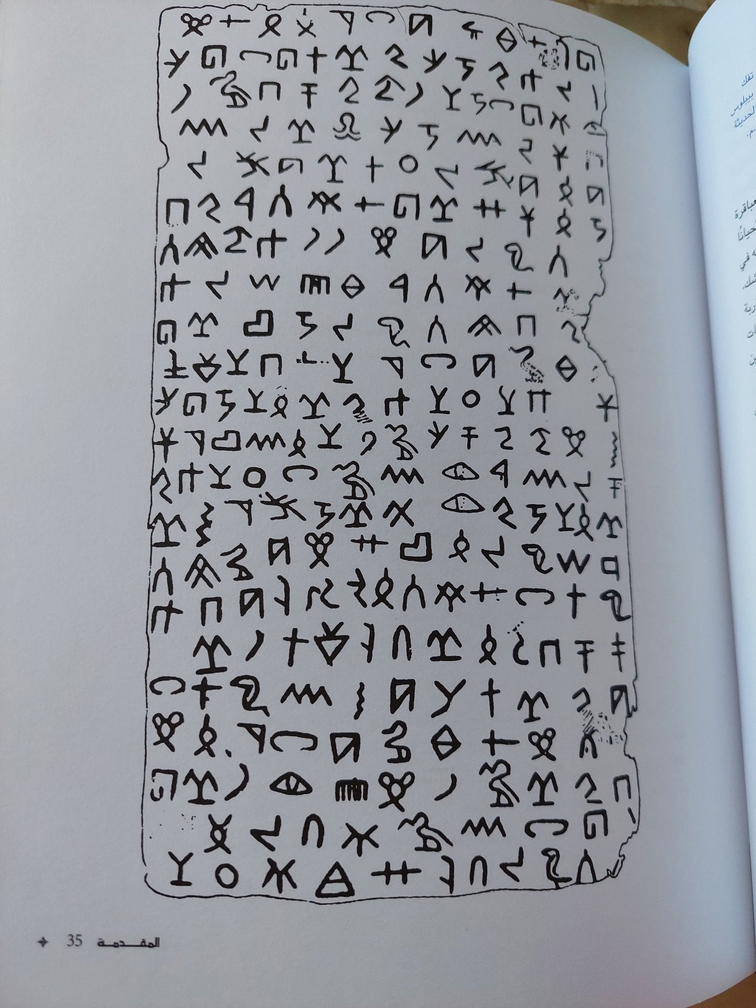 اللغات المفقودة : فك رموز الكتابات المنسية في العالم / أندرو روبنسون - قطع كبير ملحق بالصور هارد كفر - متجر كتب مصر - متجر كتب مصر