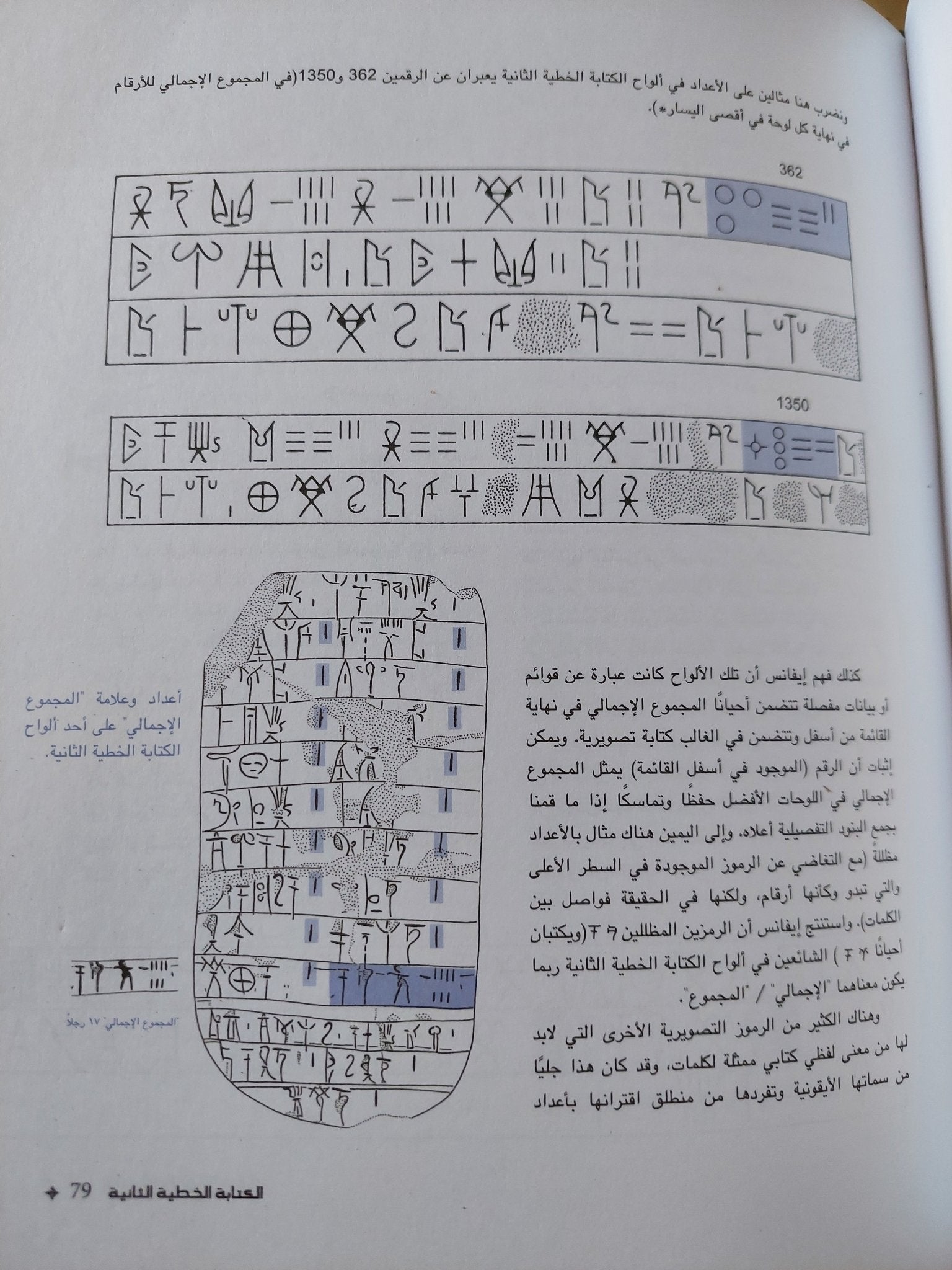 اللغات المفقودة : فك رموز الكتابات المنسية في العالم / أندرو روبنسون - قطع كبير ملحق بالصور هارد كفر - متجر كتب مصر - متجر كتب مصر