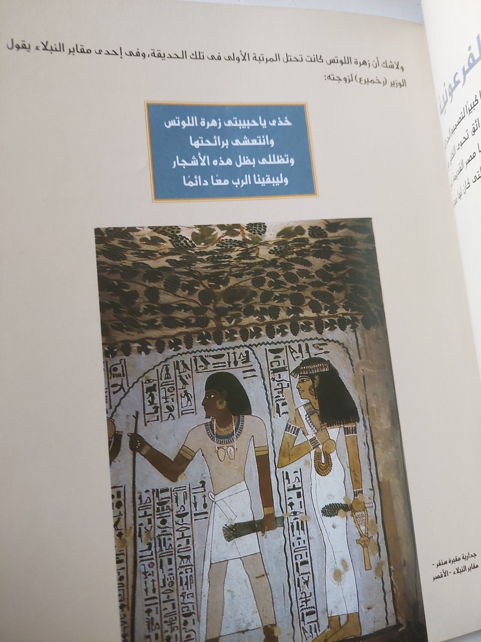اللوتس حكاية زهرة تحتضن الوجود / مرفت عبد الناصر - قطع كبير ملحق بالصور - متجر كتب مصر - متجر كتب مصر