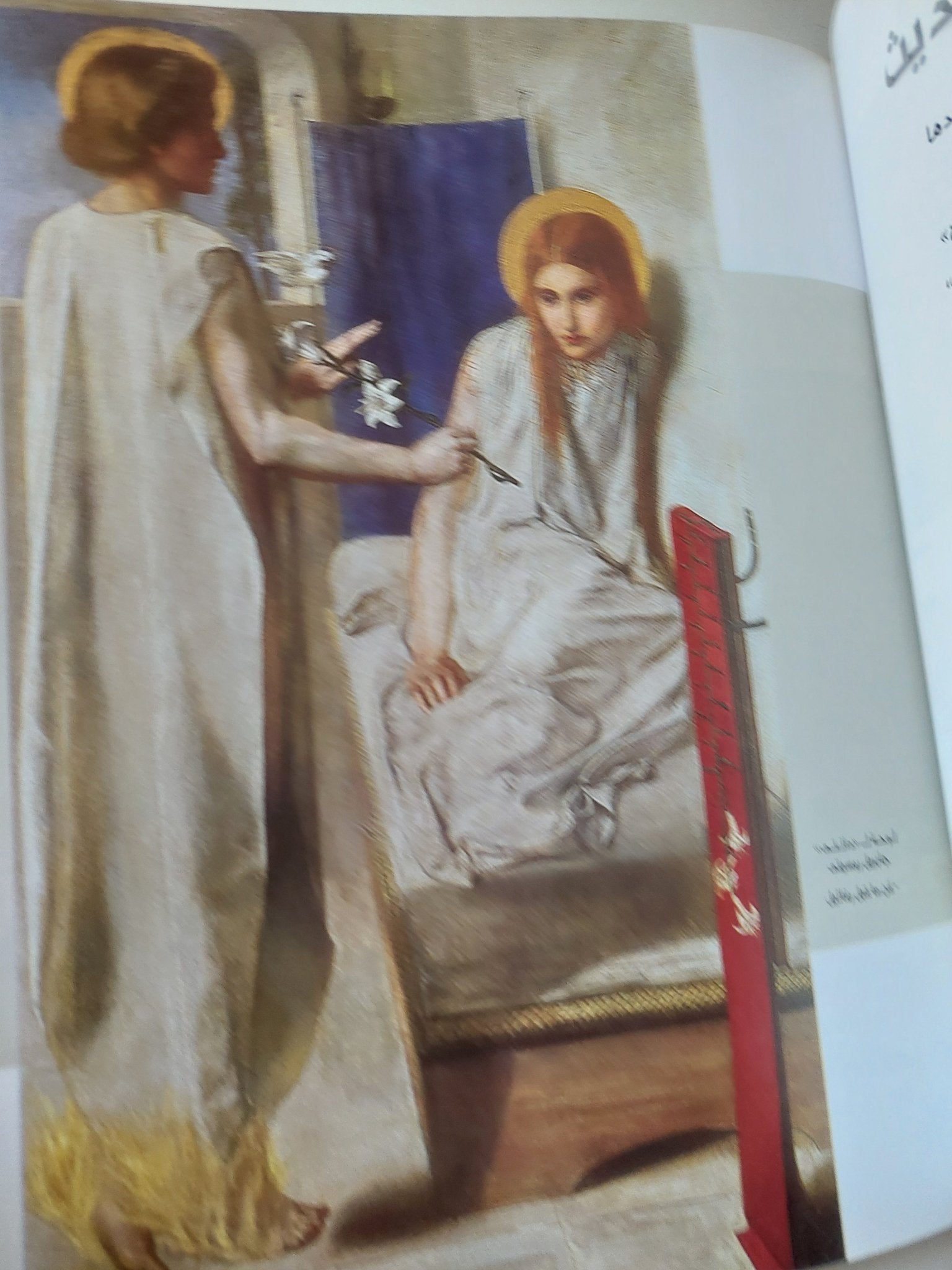 اللوتس حكاية زهرة تحتضن الوجود / مرفت عبد الناصر - قطع كبير ملحق بالصور - متجر كتب مصر - متجر كتب مصر