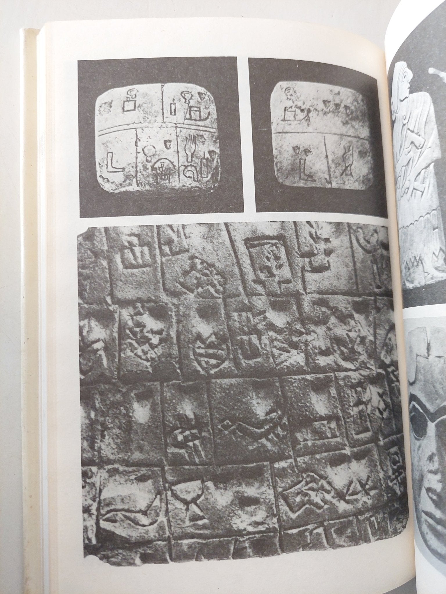 المدن الأولى / غولايف - دار التقدم موسكو - متجر كتب مصرمتجر كتب مصر