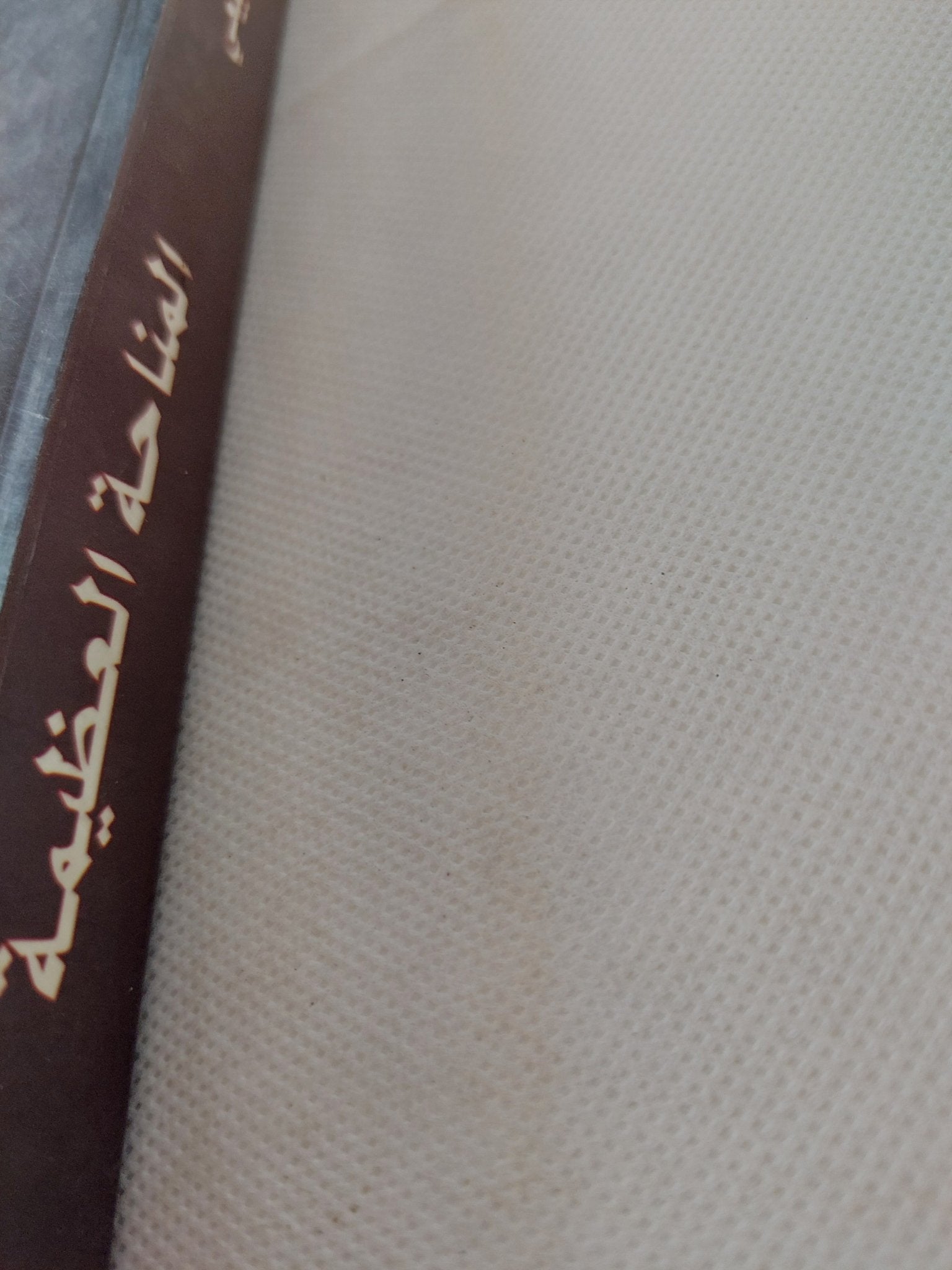 المناحة العظيمة .. الجذور التاريخية لطقوس البكاء فى الجاهلية والإسلام / فاضل الربيعى - متجر كتب مصر - المكتبة الفلسفية